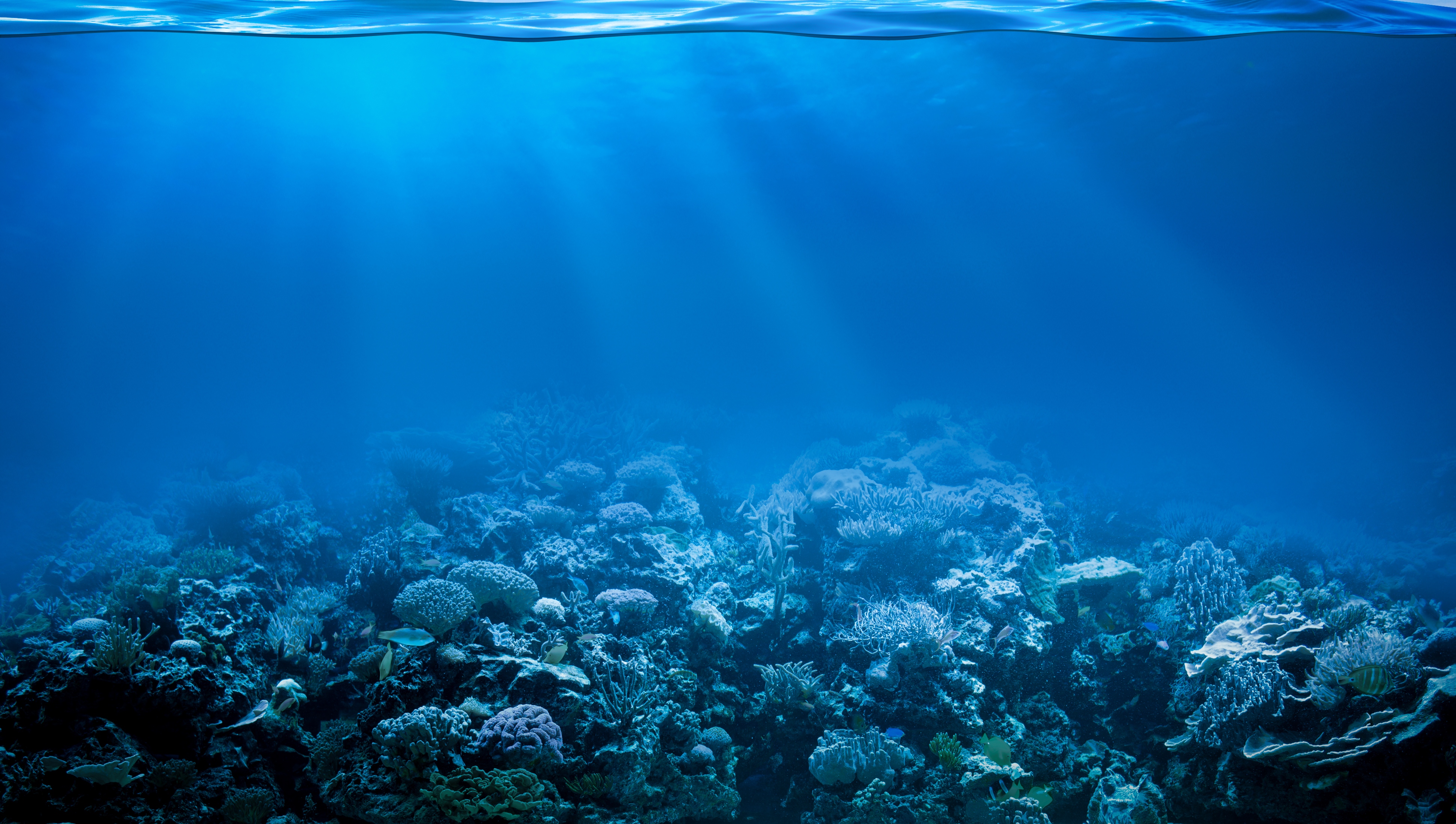 Coral Reef Underwater Sunbeam 3888x2200