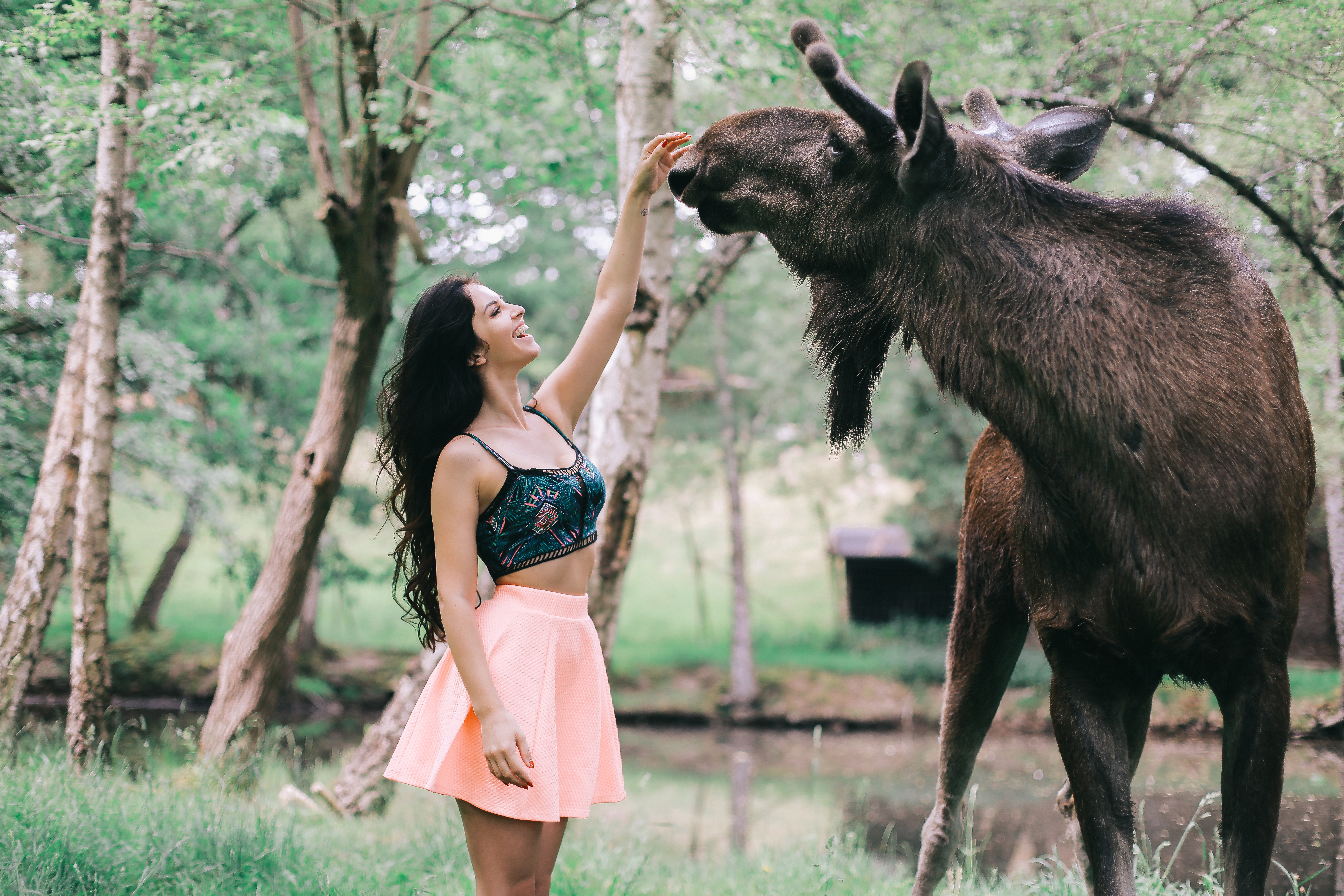 Moose Photography Nature Dangerous Model Aurela Skandaj Pink Skirt 6720x4480