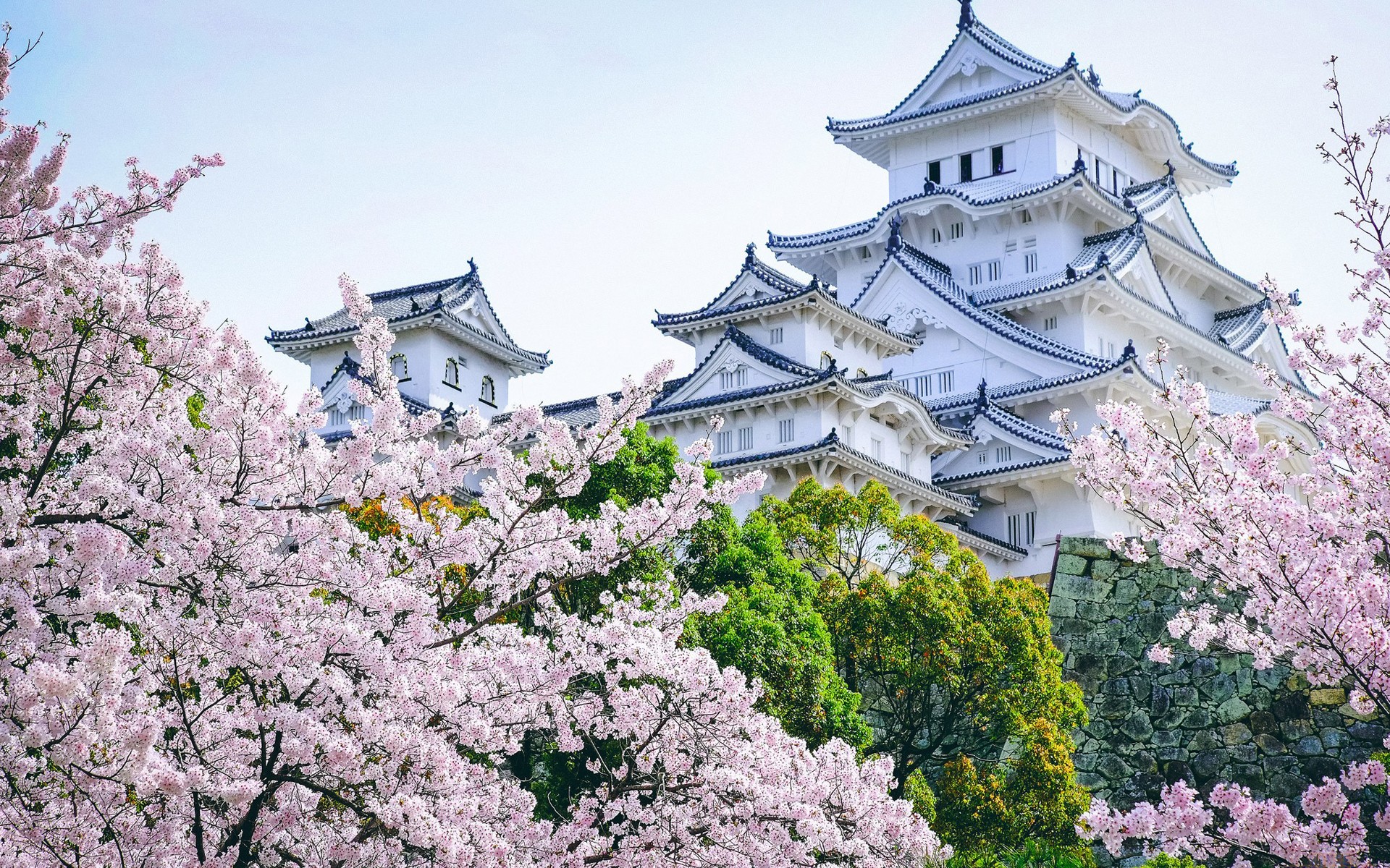 Castle Asian Architecture Cherry Blossom Landscape Himeji Castle 1920x1200