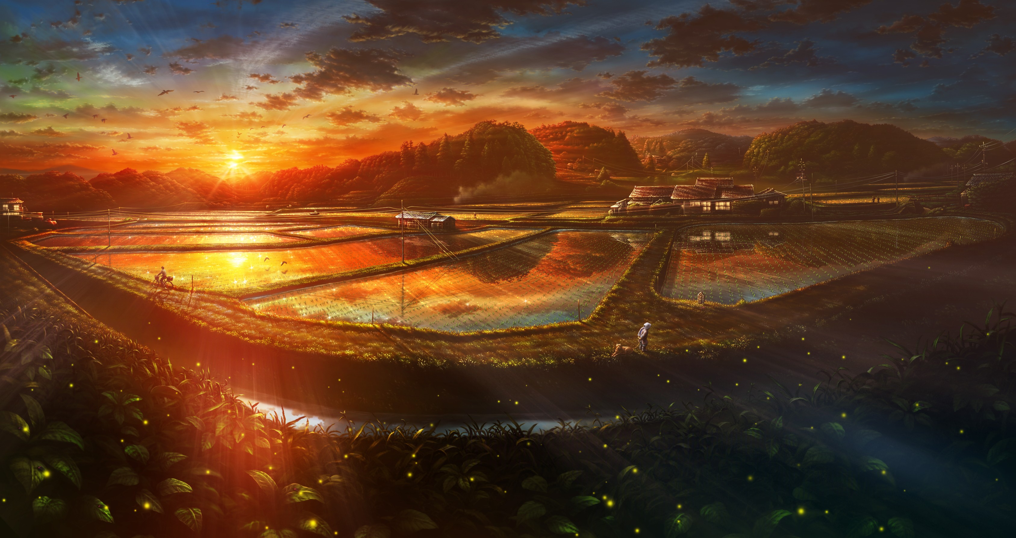 Farm Japan Japanese Sunlight Terraced Field Leaves Artwork Fireflies Landscape 3374x1787