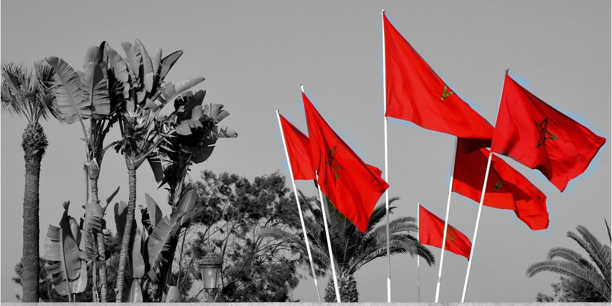 Morocco Flag Red Selective Coloring 2000x1000