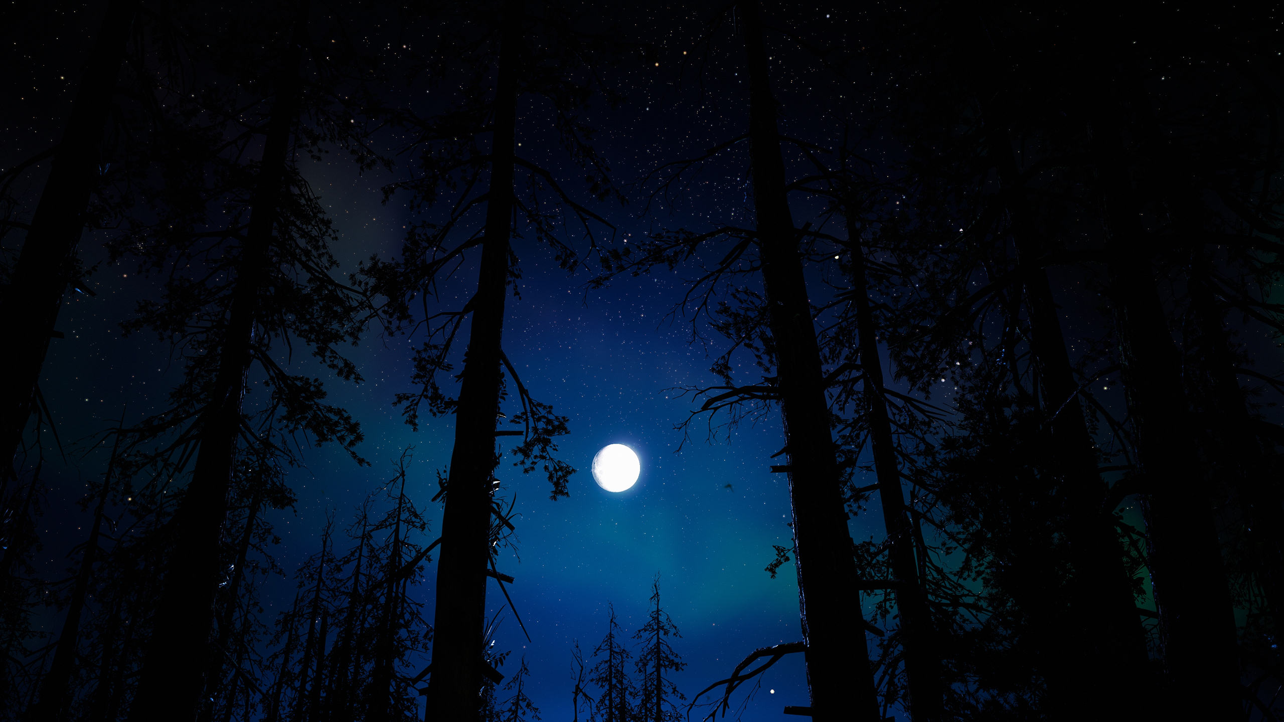 Far Cry New Dawn Far Cry PC Gaming Stars Forest Night Video Games Shilouettes Dark Ubisoft 2560x1440
