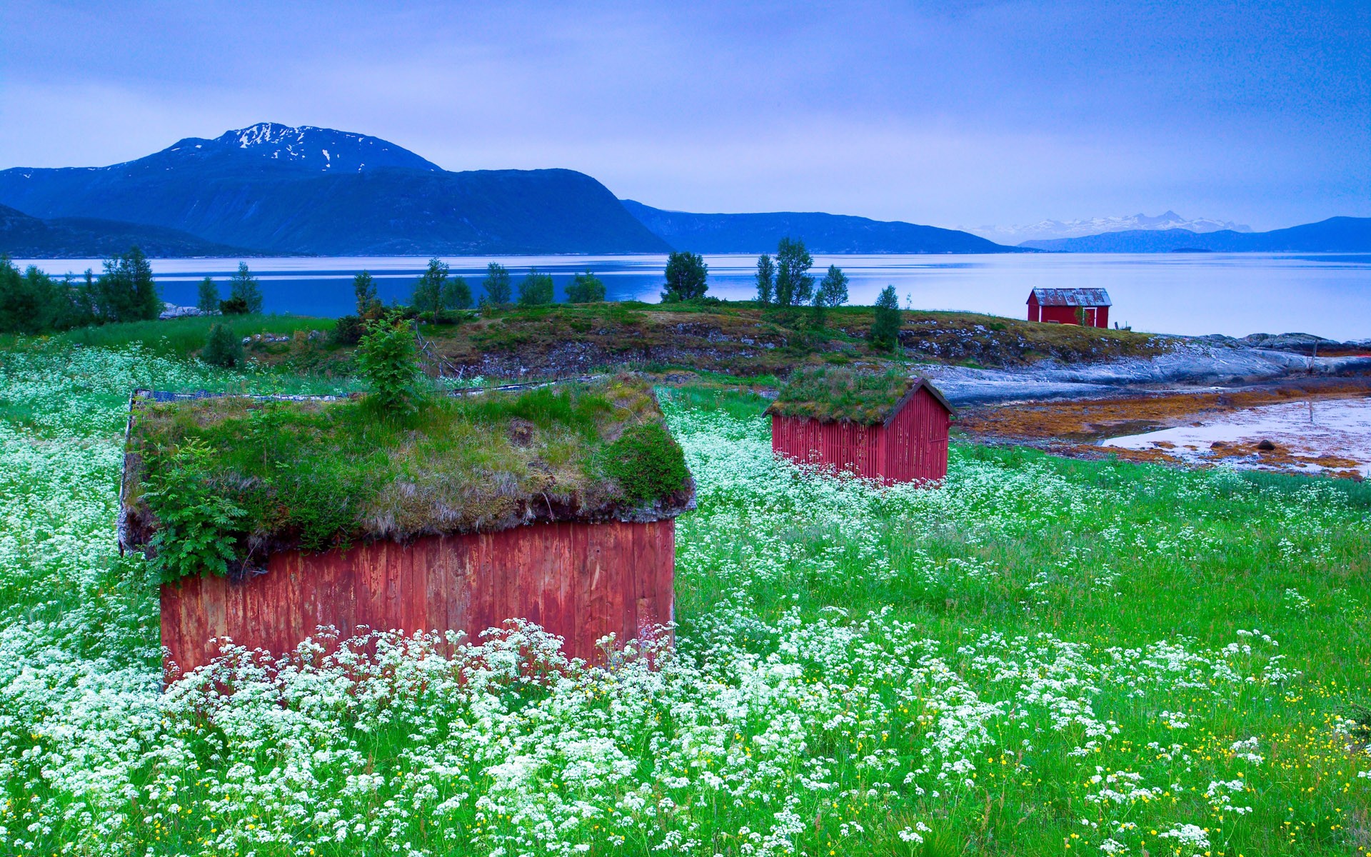 Landscape Nordic Landscapes Cabin Mountains Flowers 1920x1200