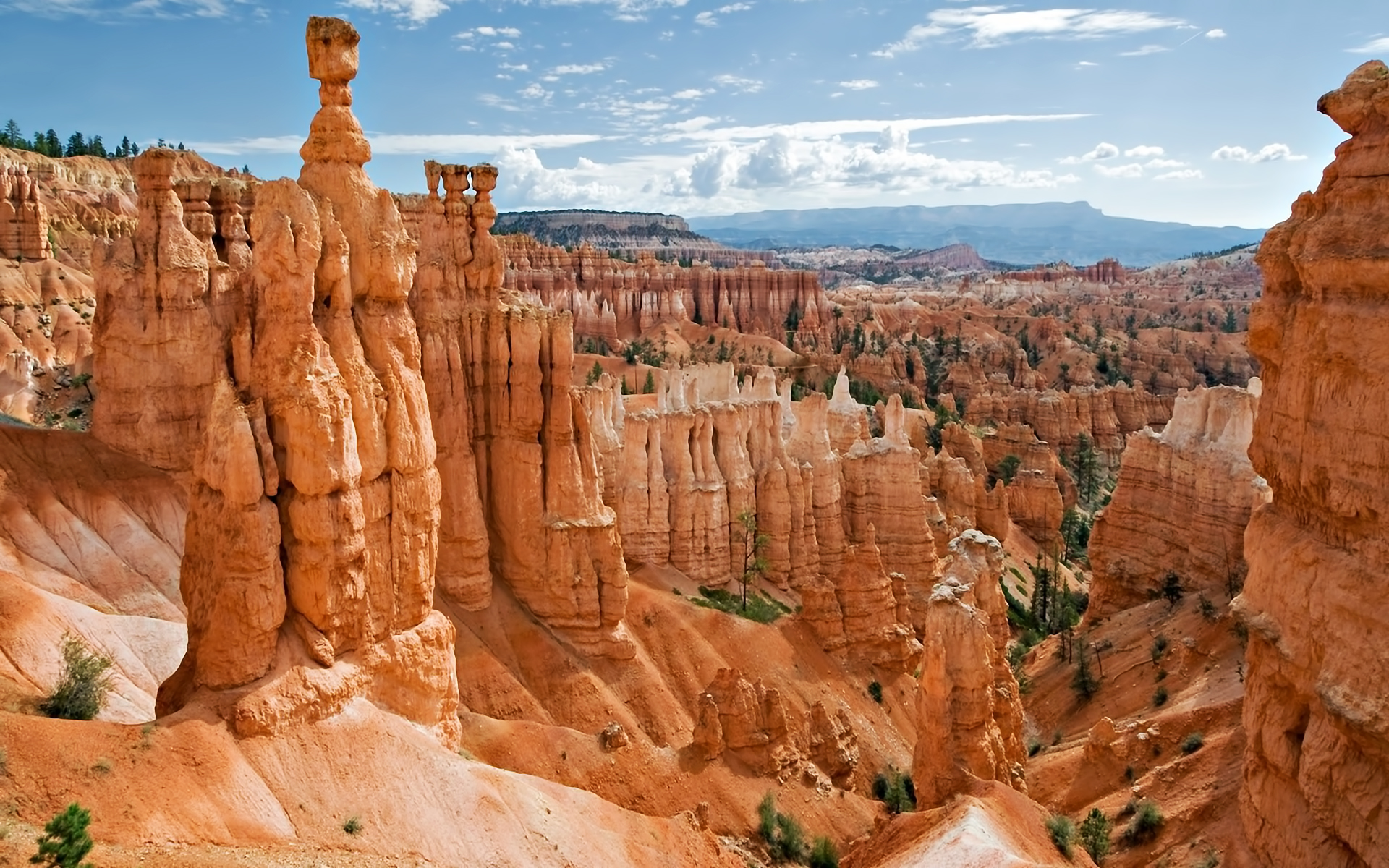 Bryce Canyon National Park 1920x1200