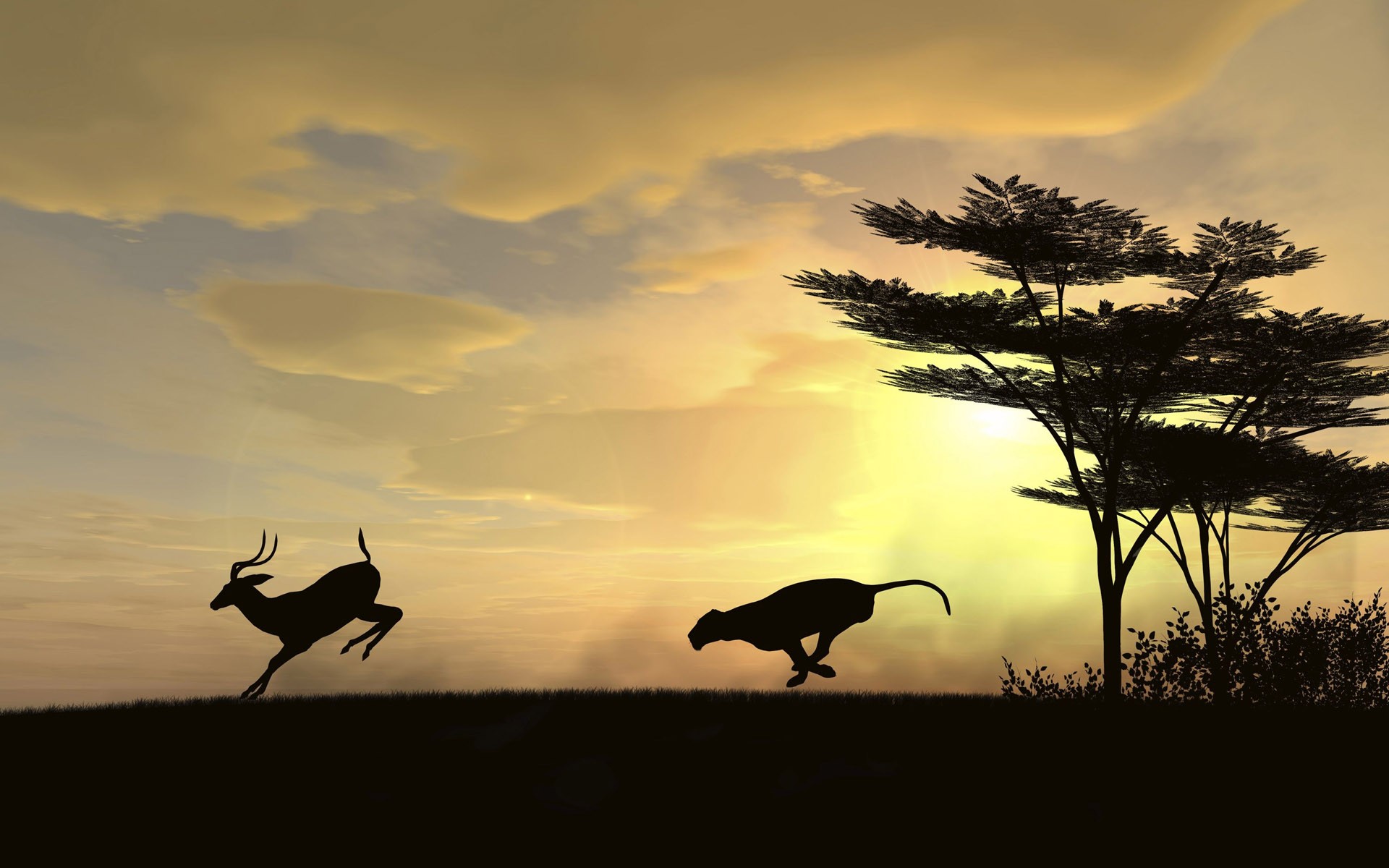 Sunset Trees Deer Clouds Gazelle Leopard Animal 1920x1200