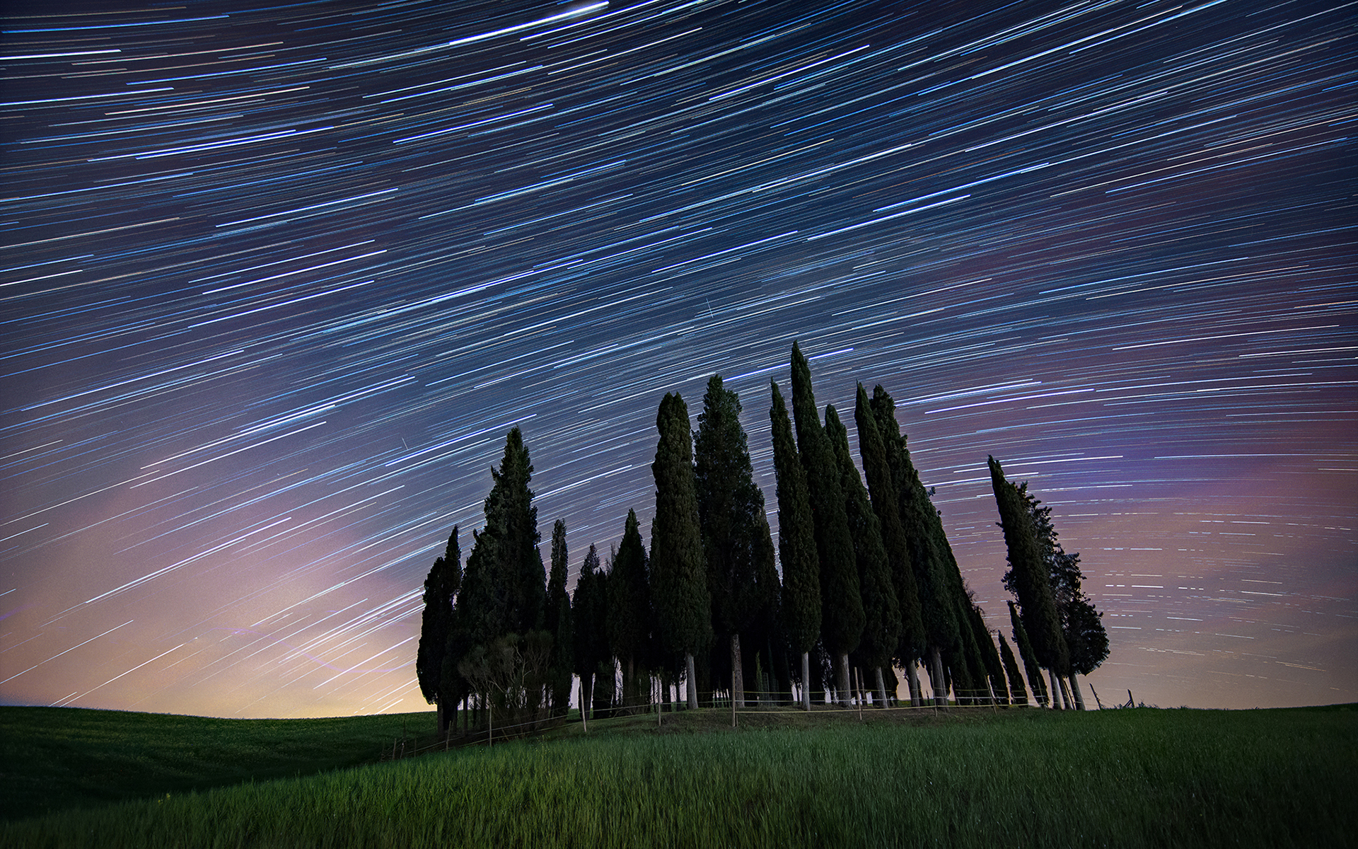 Nature Sky Star Trail Tree 1920x1200