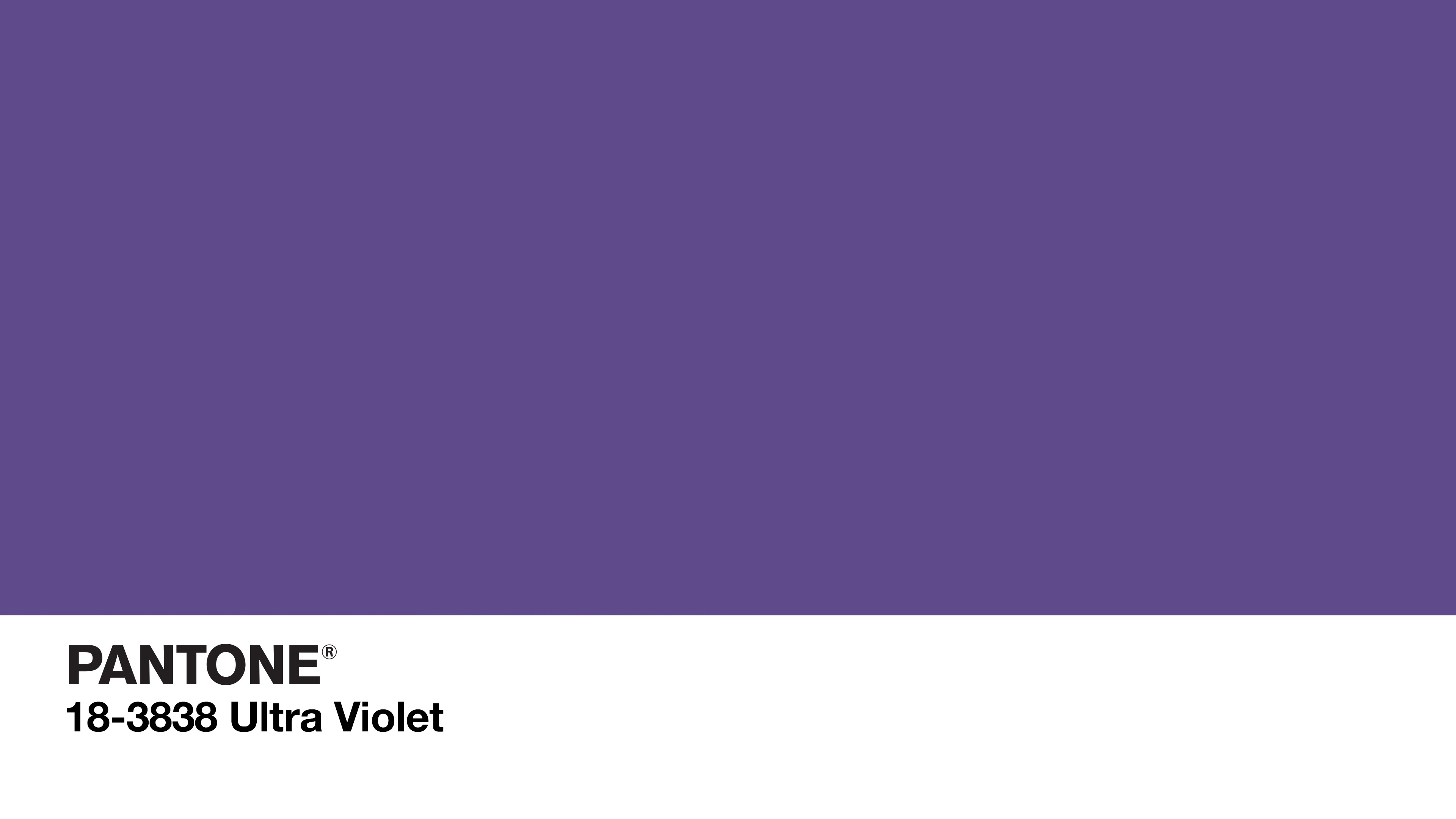 Solid Color Logo Purple 3840x2160