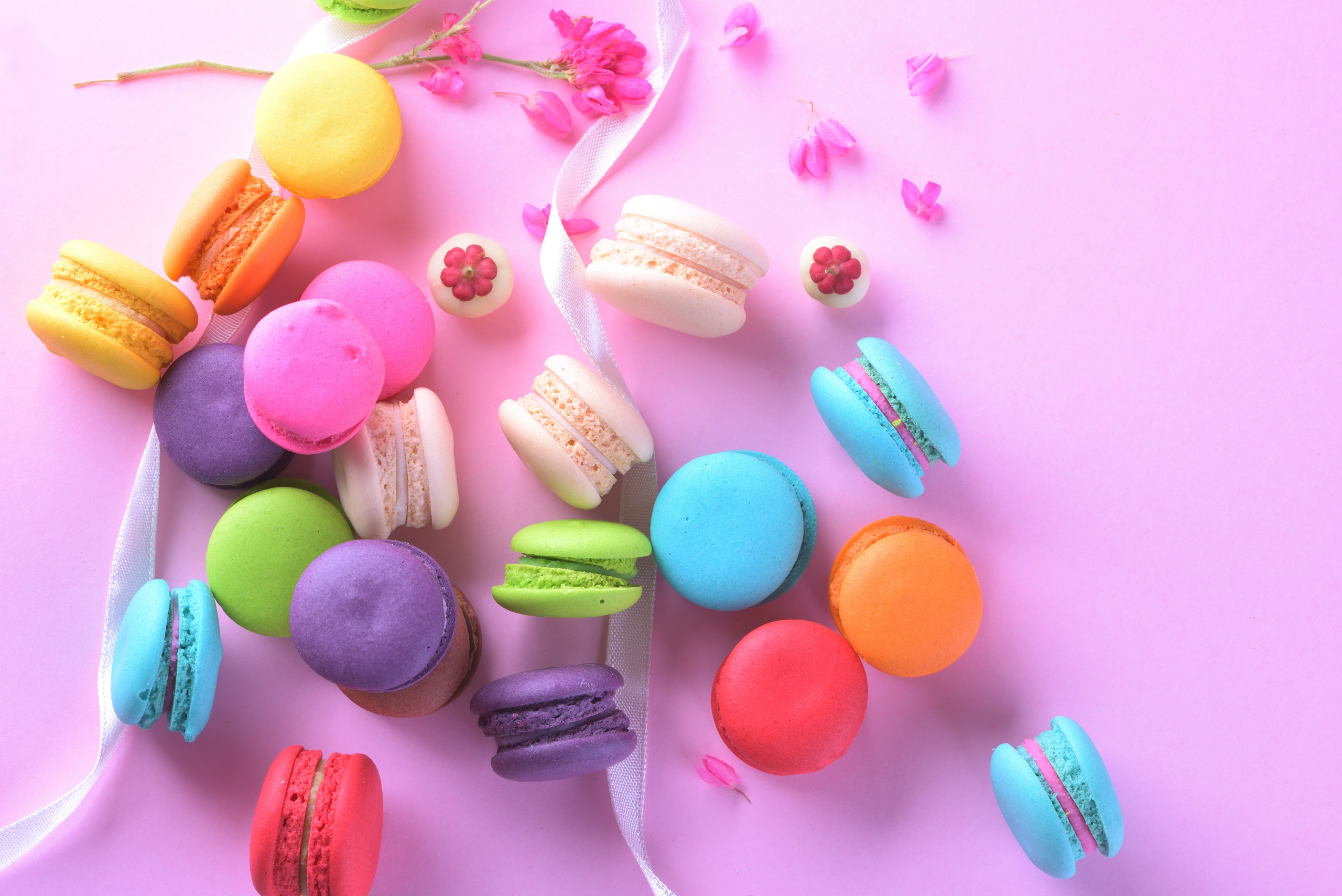 Food Sweets Colorful Macarons Flowers Flower Petals Ribbon Cookies 2560x1709