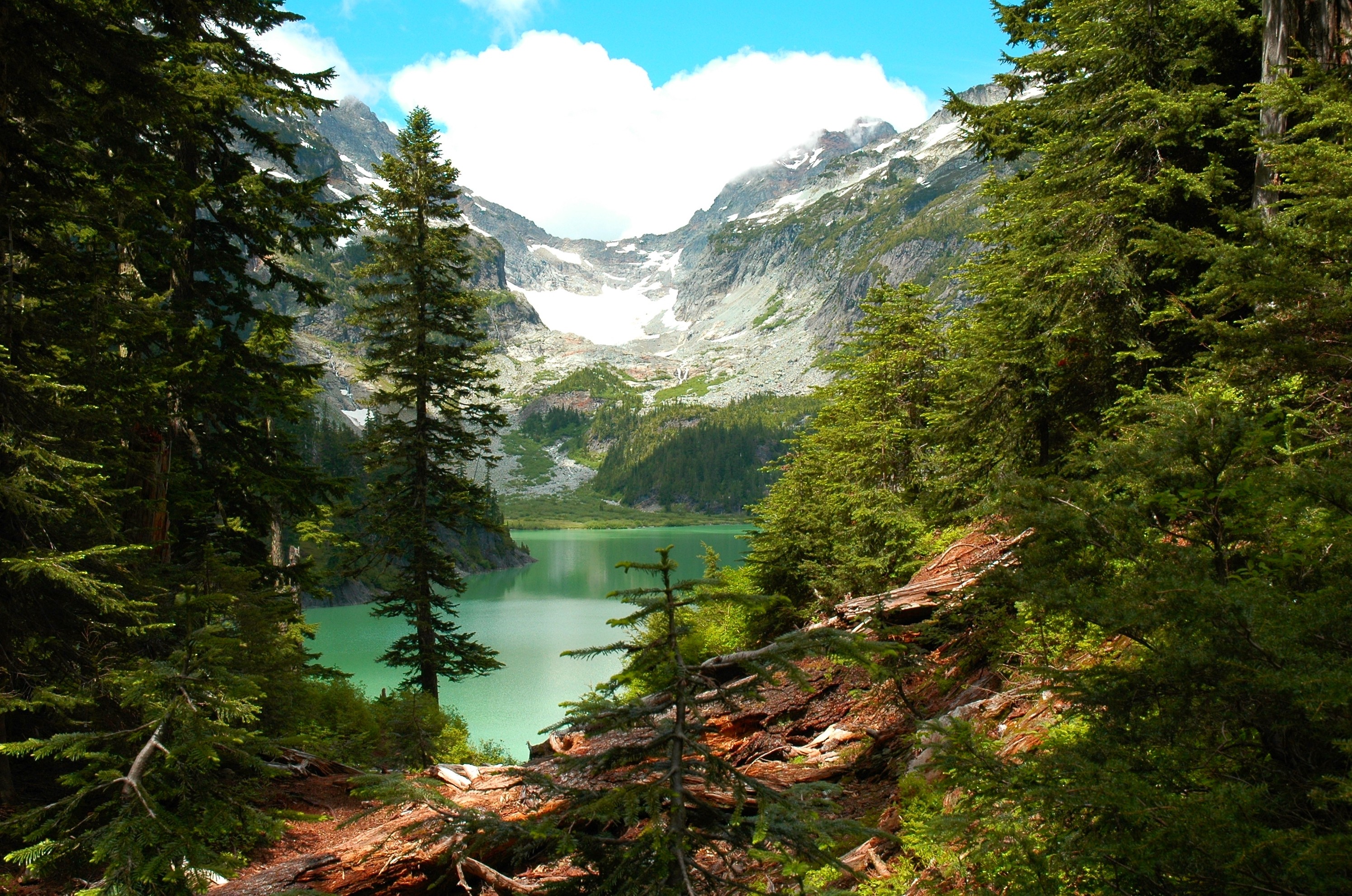 Lake Forest Mountains Washington State Trees Cliff Water Clouds Green Nature Landscape 2990x1981