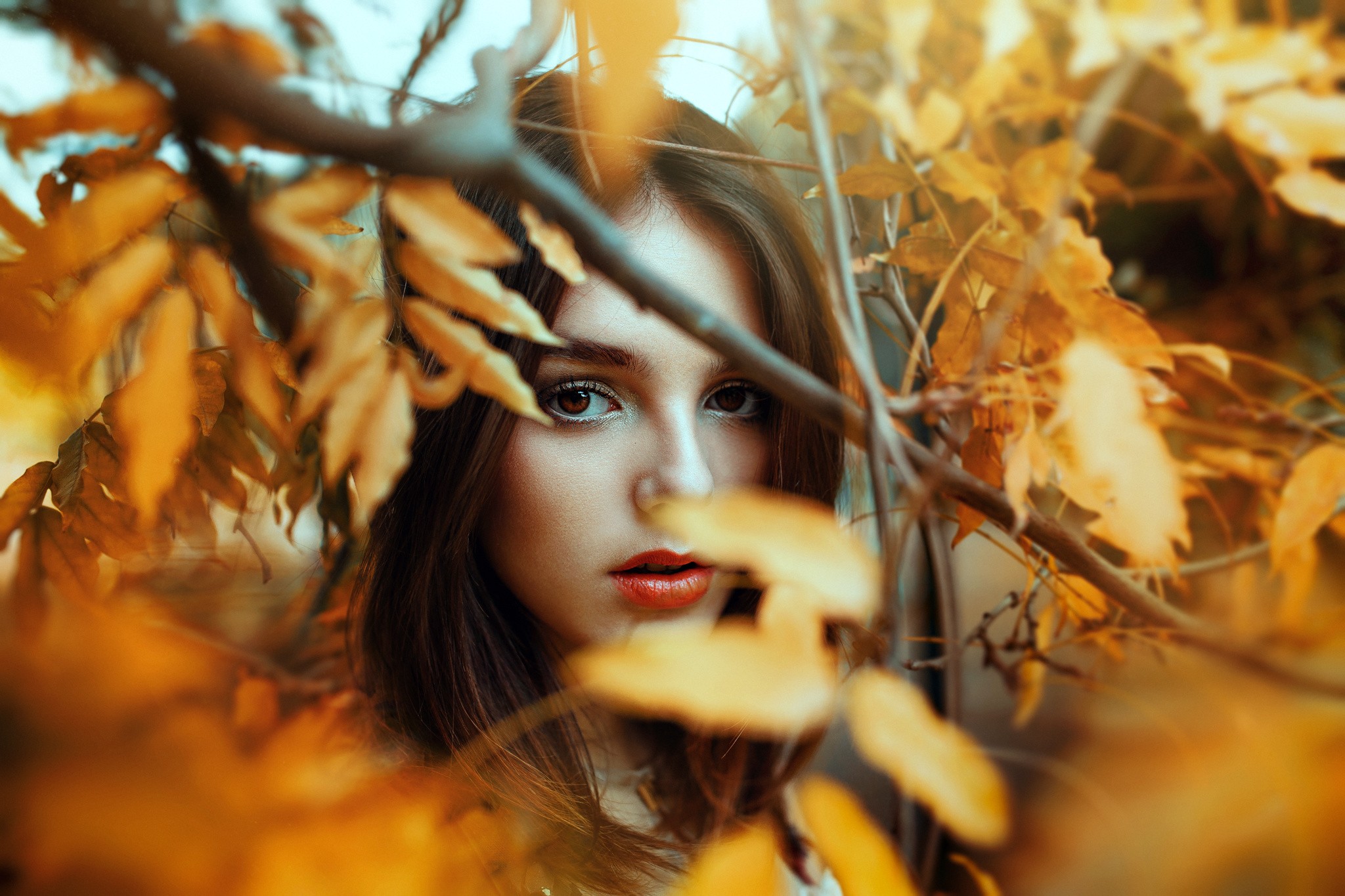 Women Face Portrait Leaves Red Lipstick Ronny Garcia Long Hair Model Depth Of Field Auburn Hair Fall 2048x1365