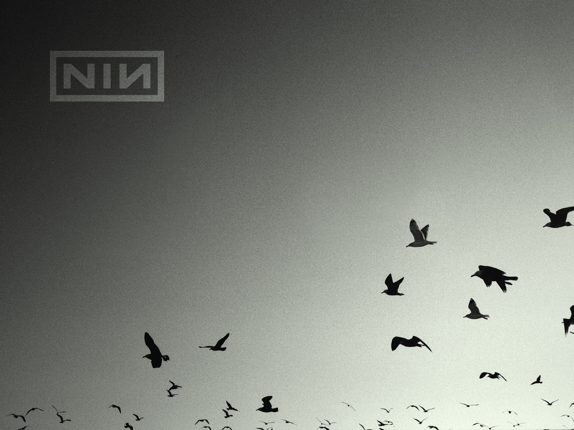 Music Nine Inch Nails 1920x1440