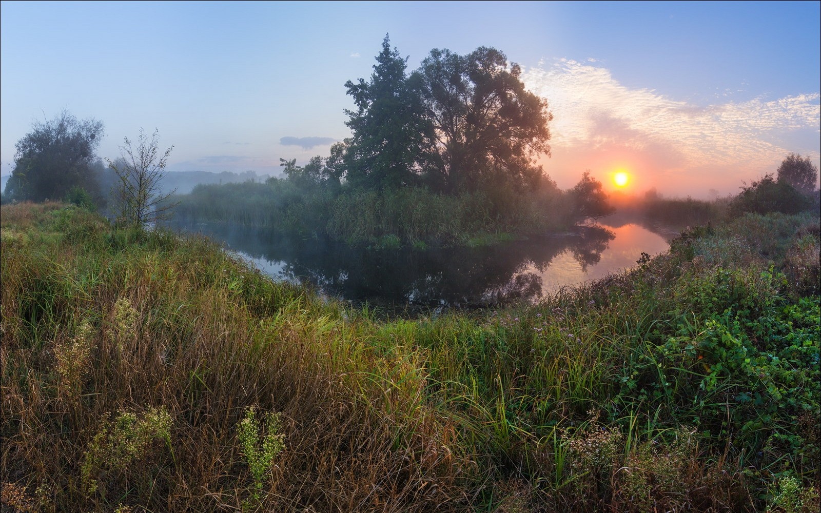 Nature Photography Landscape River Morning Sunlight Trees Shrubs Mist 1600x1000