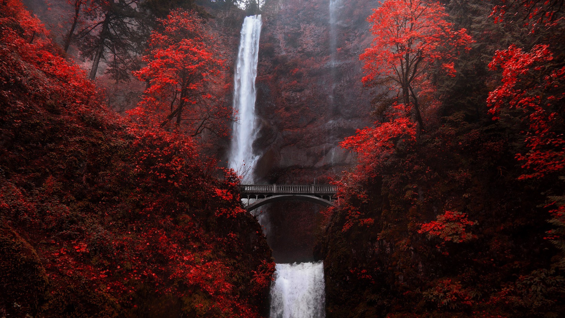 Trees Fall Bridge Mountains Plants Rocks Water Waterfall Multnomah Falls Oregon USA 1920x1080