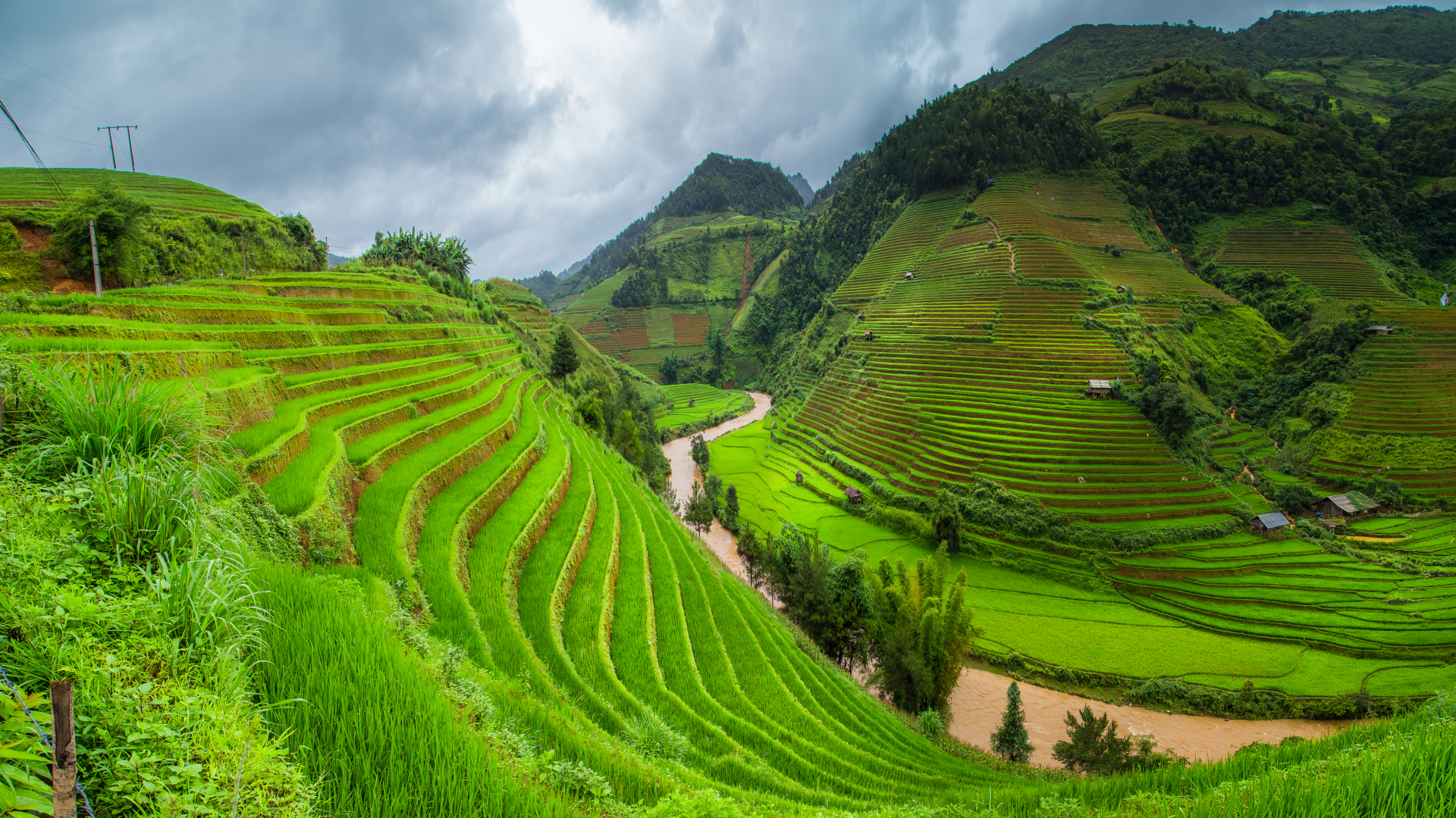 Nature Landscape Clouds Terraced Field Rice Fields Rice Paddy Valley Asia River Green Grass Trees 1920x1080