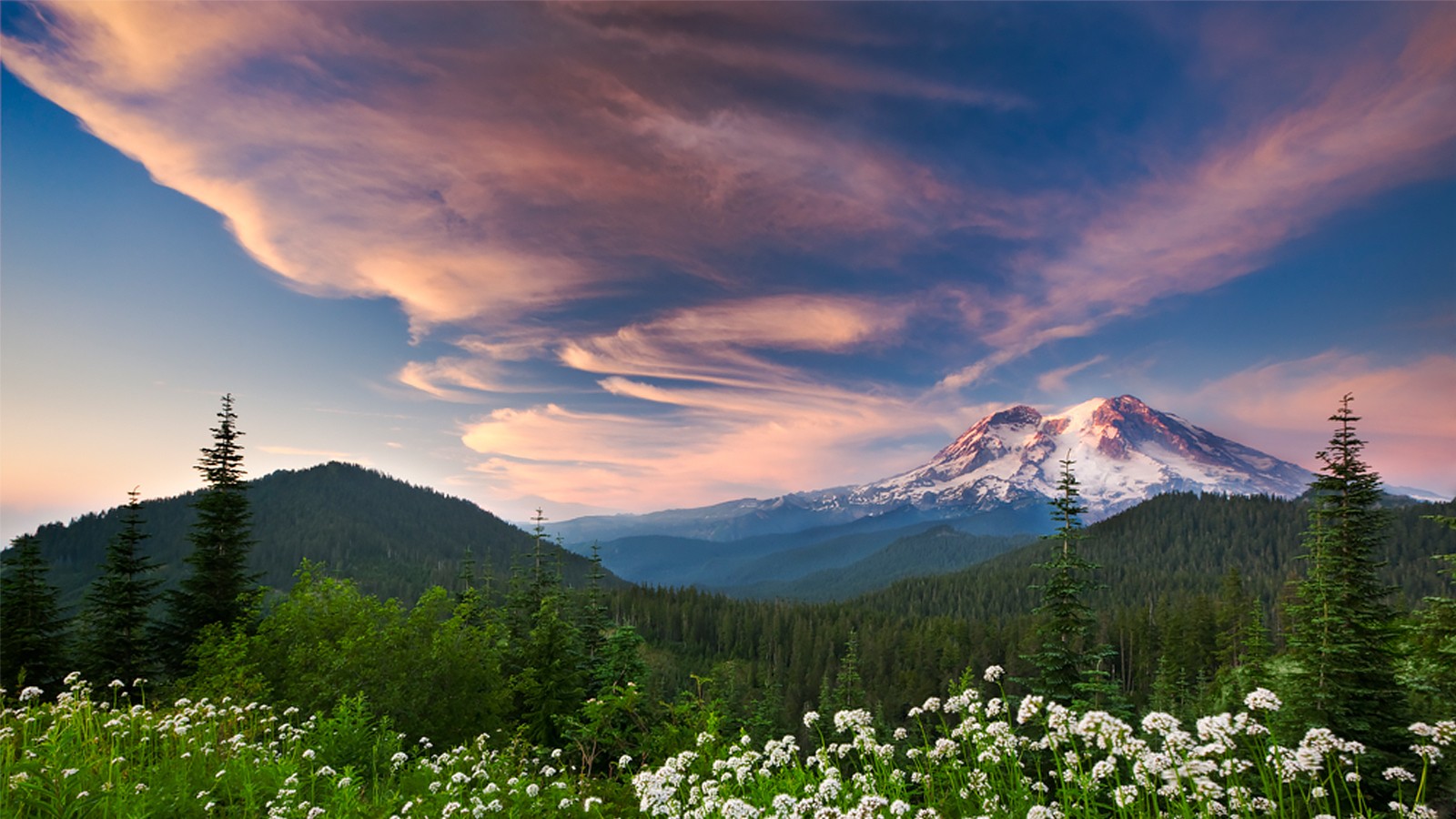 Wildflowers Forest Mountains Sunset Clouds Snowy Peak Nature Landscape 1600x900