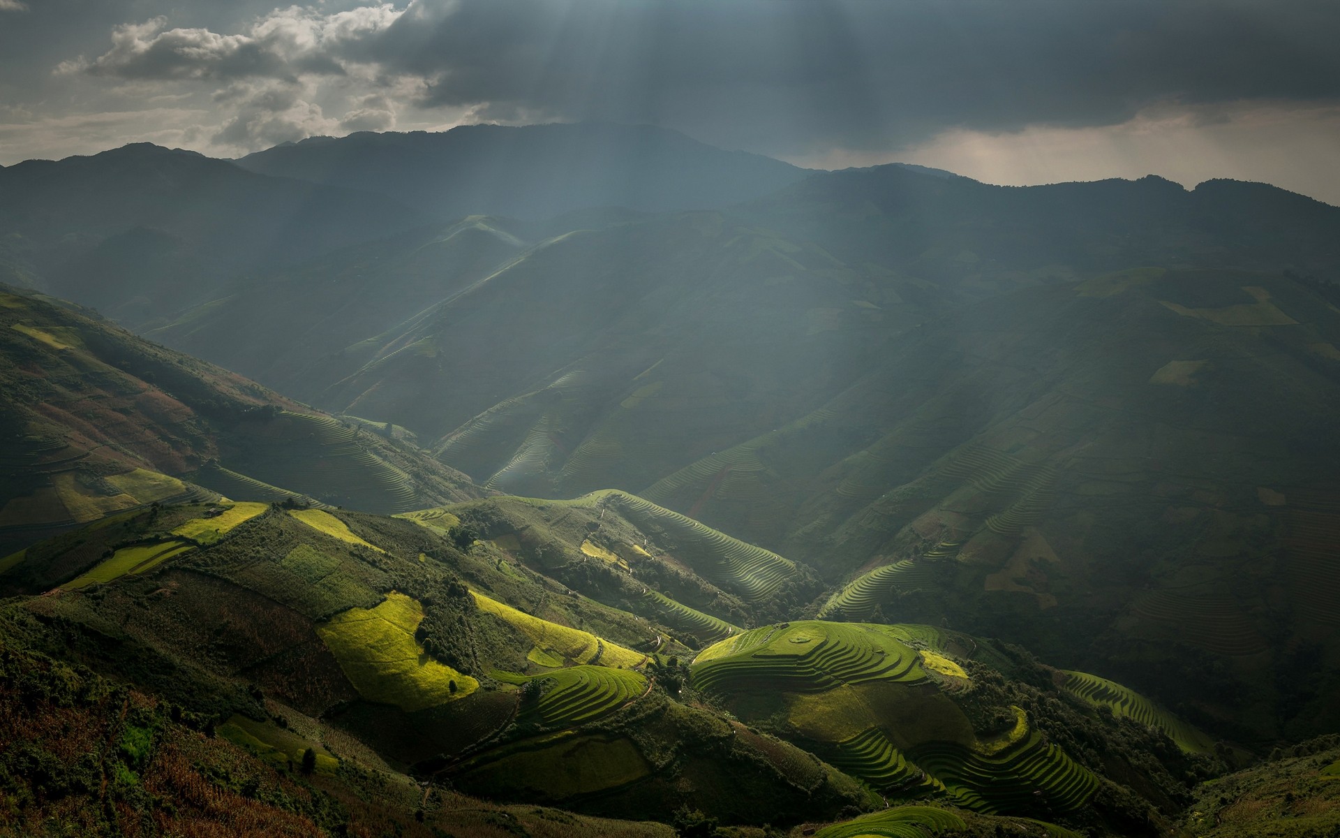 Nature Landscape Rice Paddy Sun Rays Mountains Terraces Field Clouds Mist Valley Vietnam 1920x1200