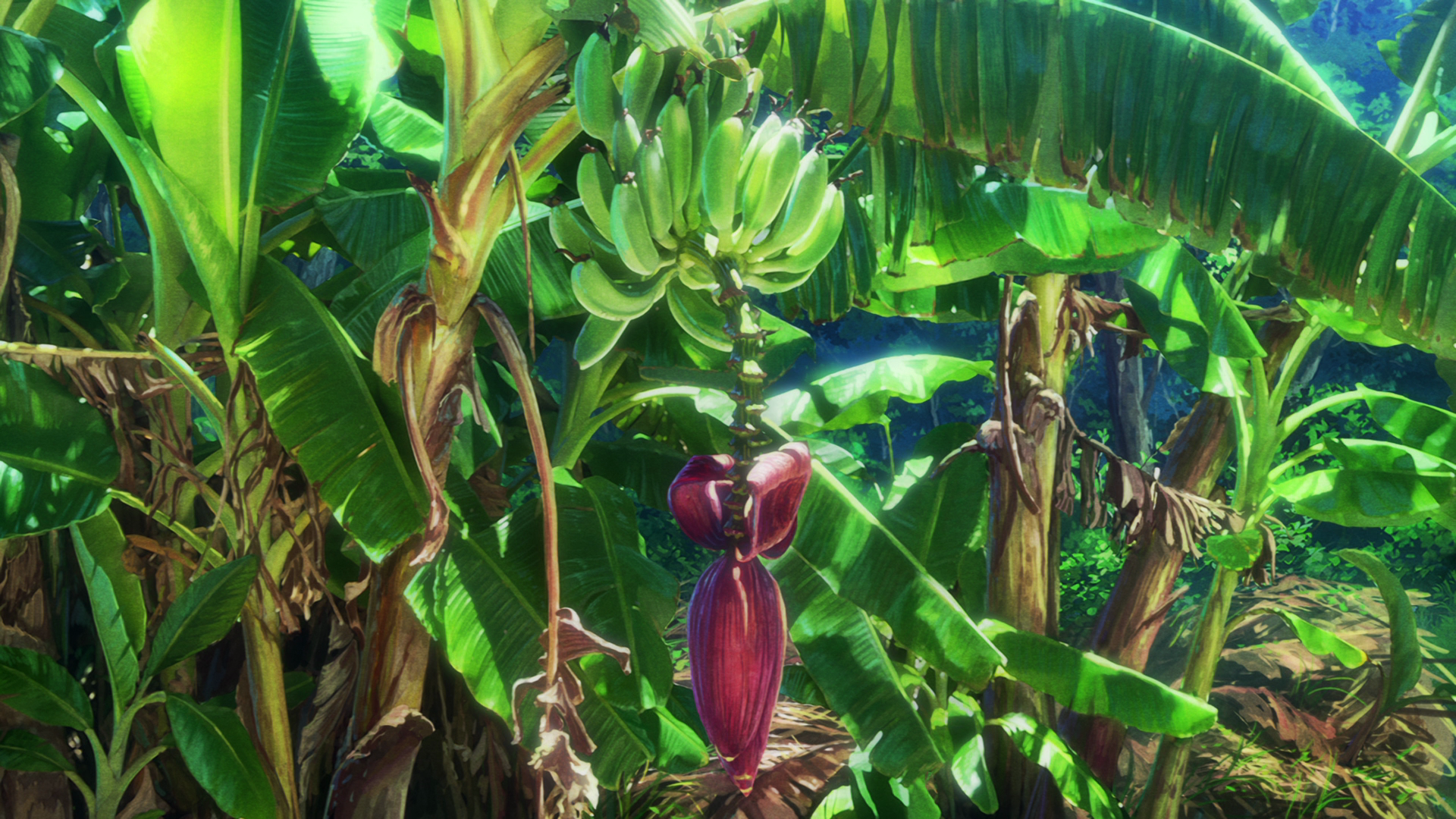 Non Non Biyori Nature Plants Bananas Fruit Food Leaves 1920x1080