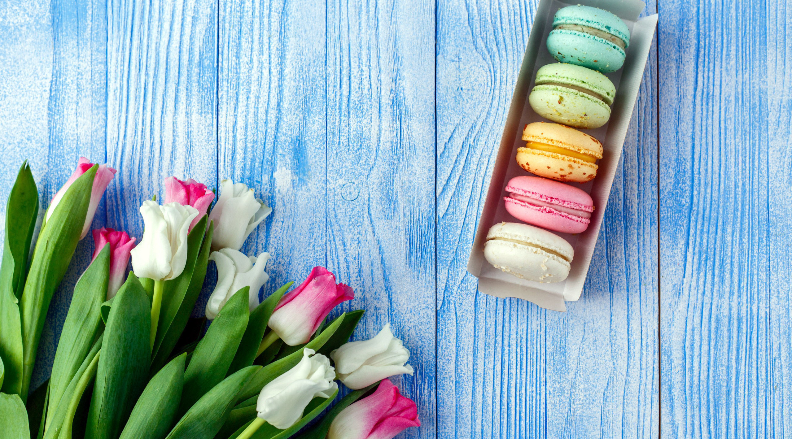 Colorful Flowers Sweets Food Tulips Cookies Macarons Wooden Surface Cyan 2557x1418