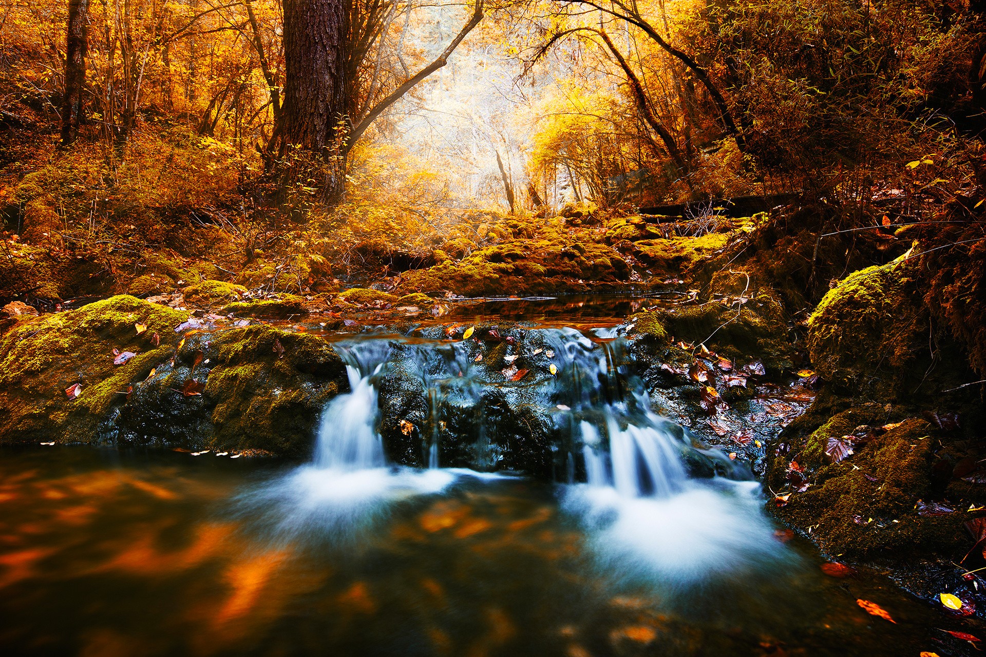 Forest River Creeks Fall Wilderness Landscape Without People 1920x1280