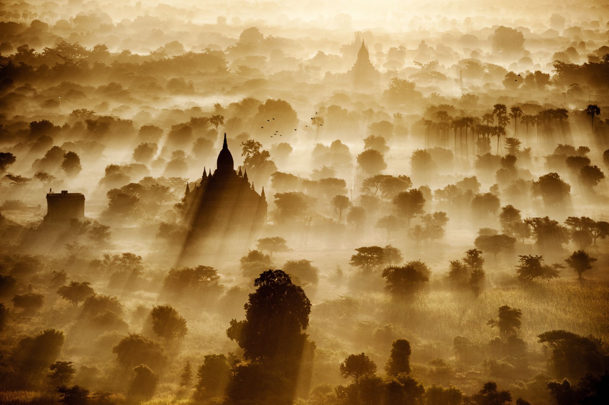 Sun Rays Bagan Temple Artwork Burma Myanmar Landscape Trees Nature Sunlight 2048x1363