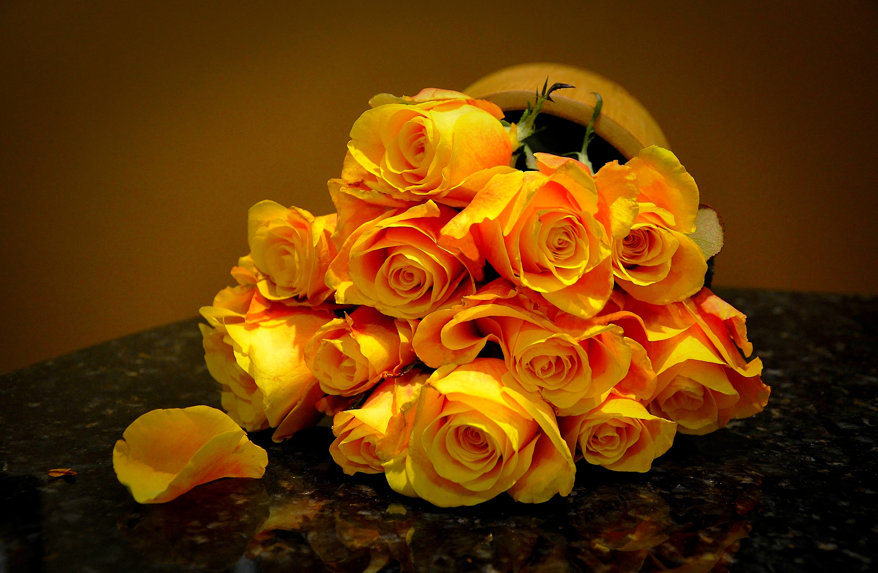 Flower Rose Still Life Yellow Rose Yellow Flower 2835x1853