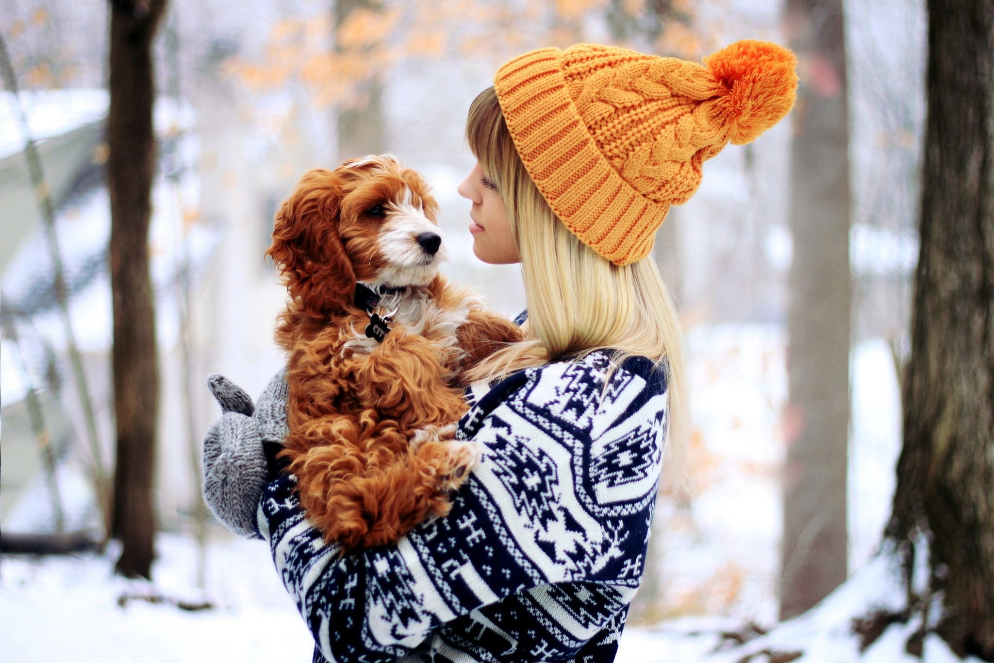 Snow Gloves Dog Women Bonnet Wool Cap Women With Dogs Sweater 2048x1365