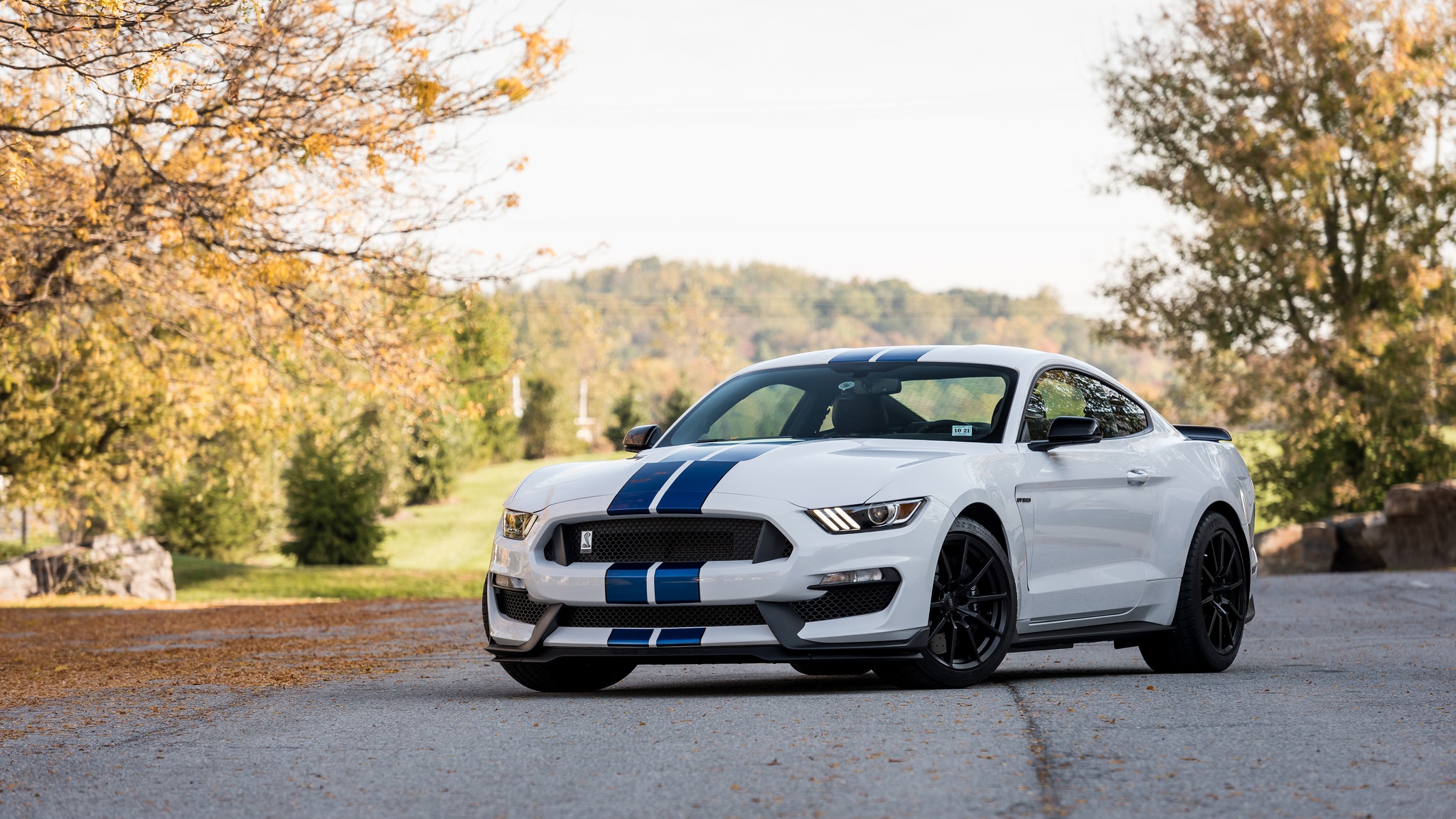 Car Nature Depth Of Field Ford Mustang Shelby Shelby GT350 2048x1152