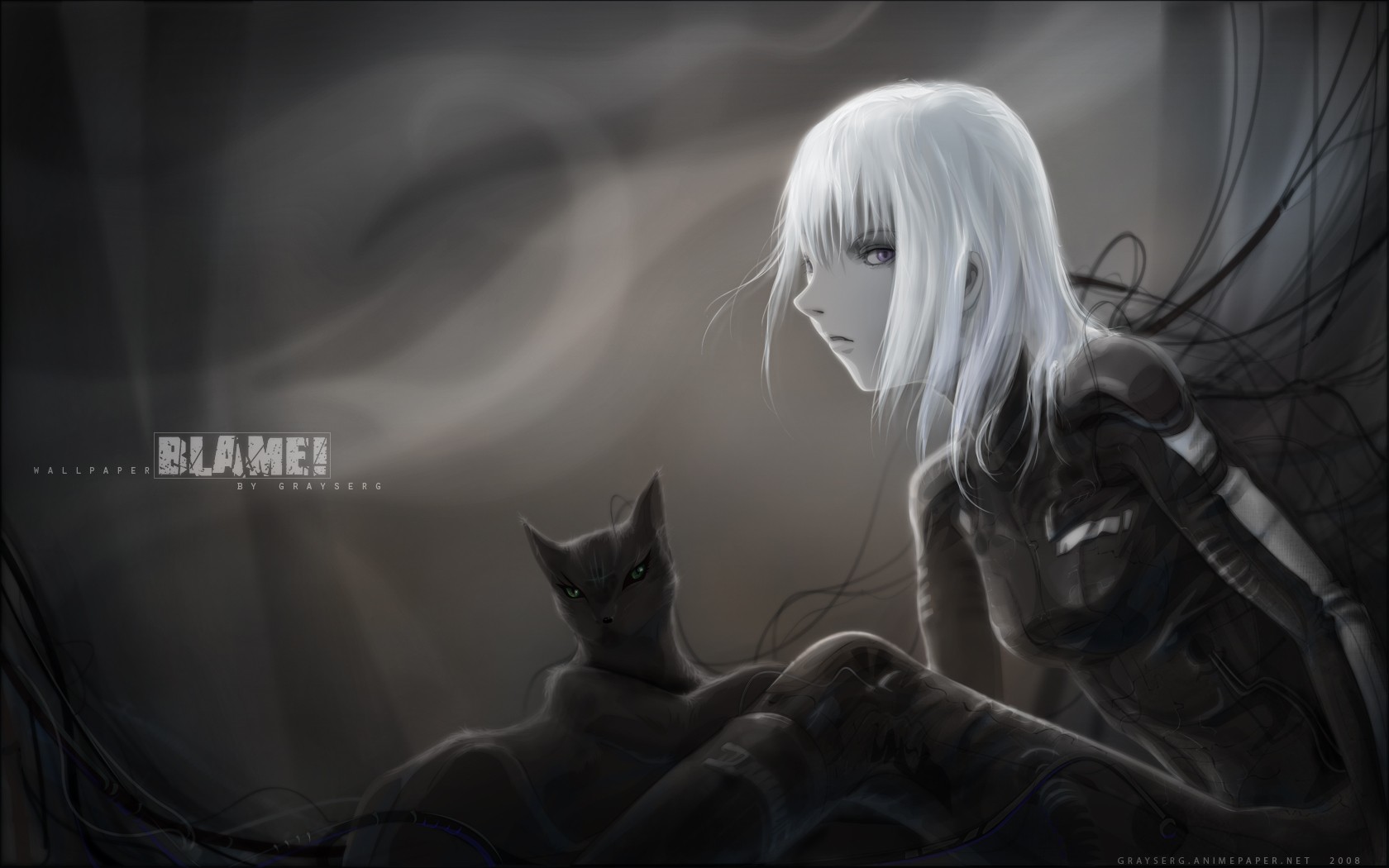 Blame Cats White Hair Cibo 1680x1050