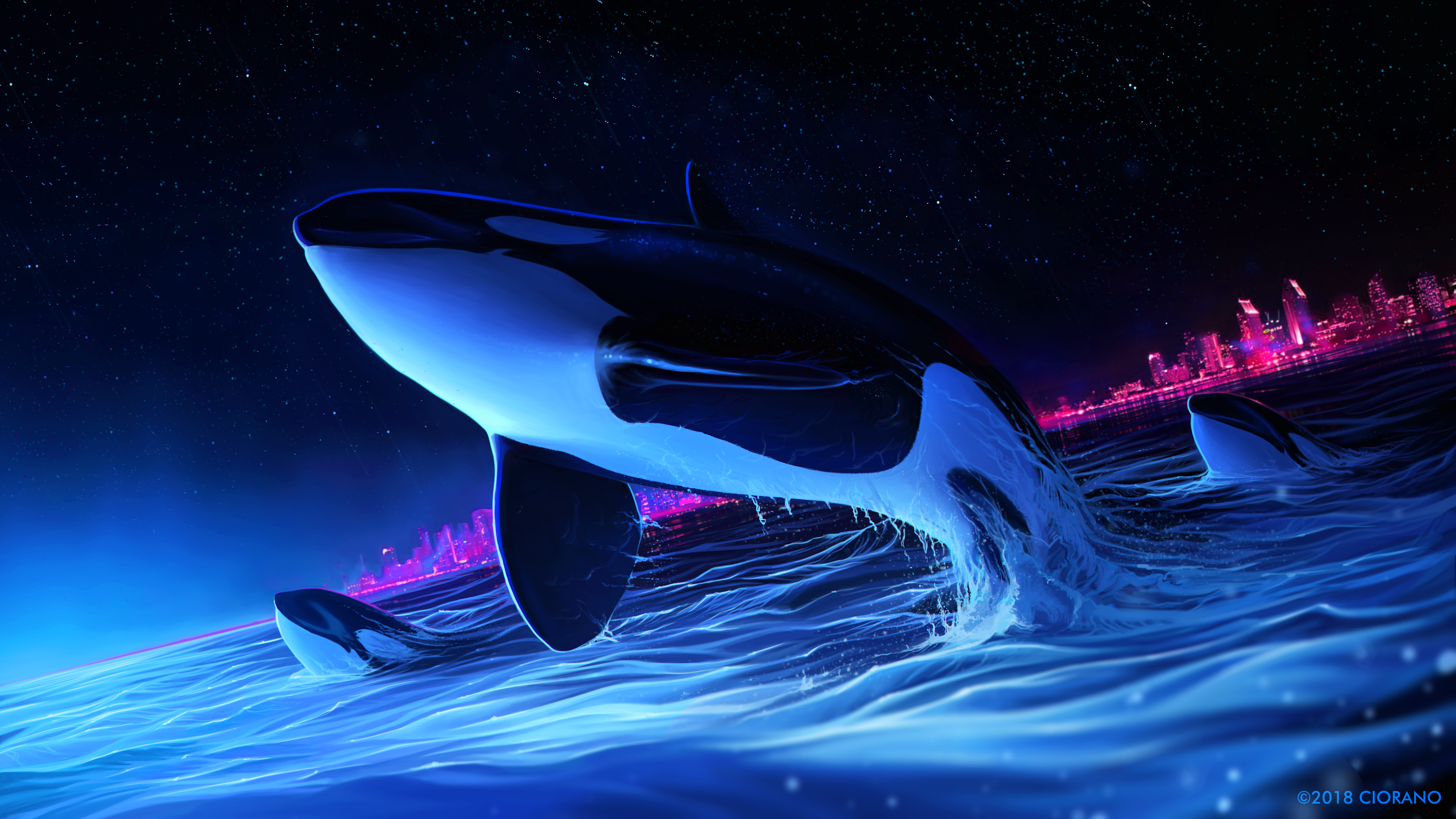 Digital Digital Art Artwork Illustration Drawing Digital Painting Animals Whale Orca Night Sky Night 4000x2250