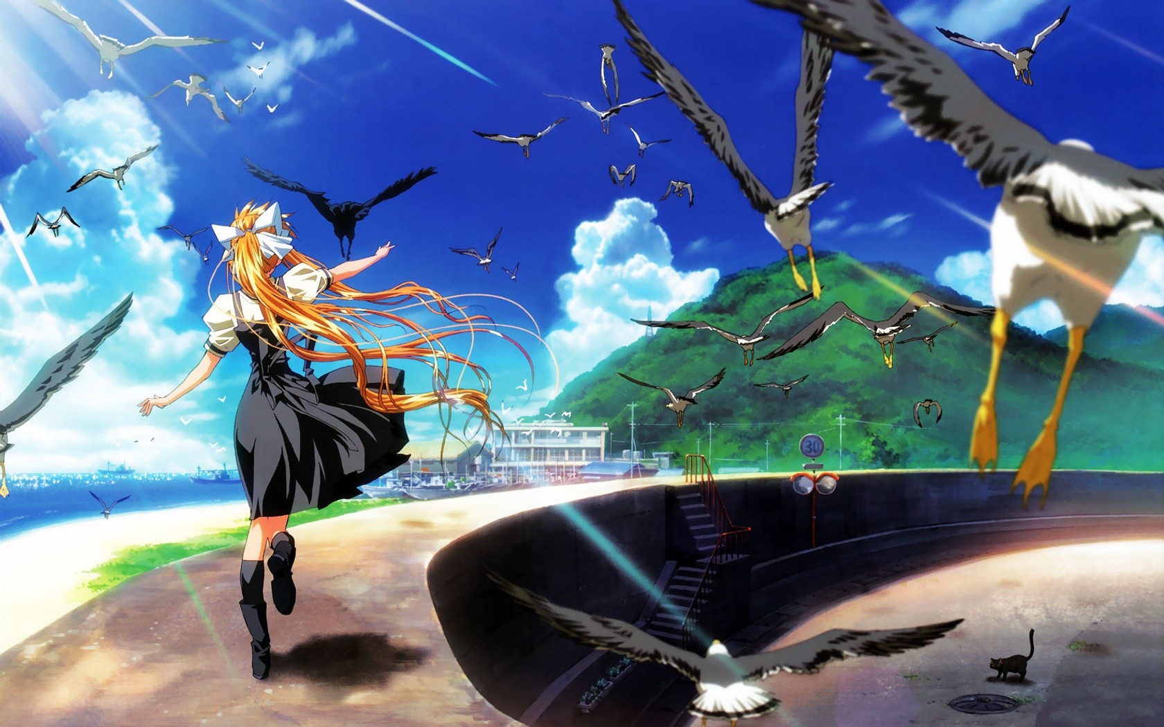 Anime Anime Girls Air Anime Birds 1680x1050
