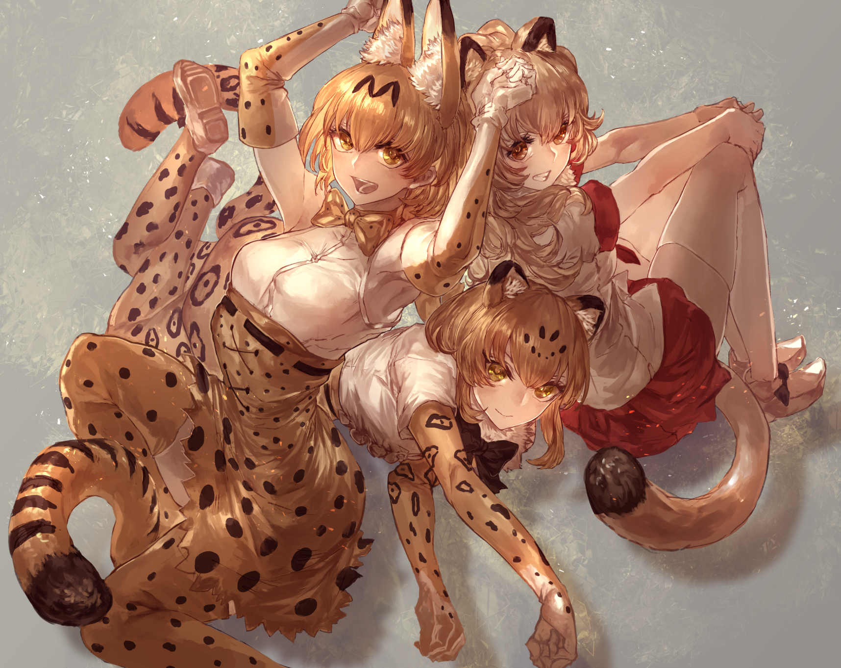 Serval Kemono Friends Jaguar Kemono Friends Lion Kemono Friends 1716x1362