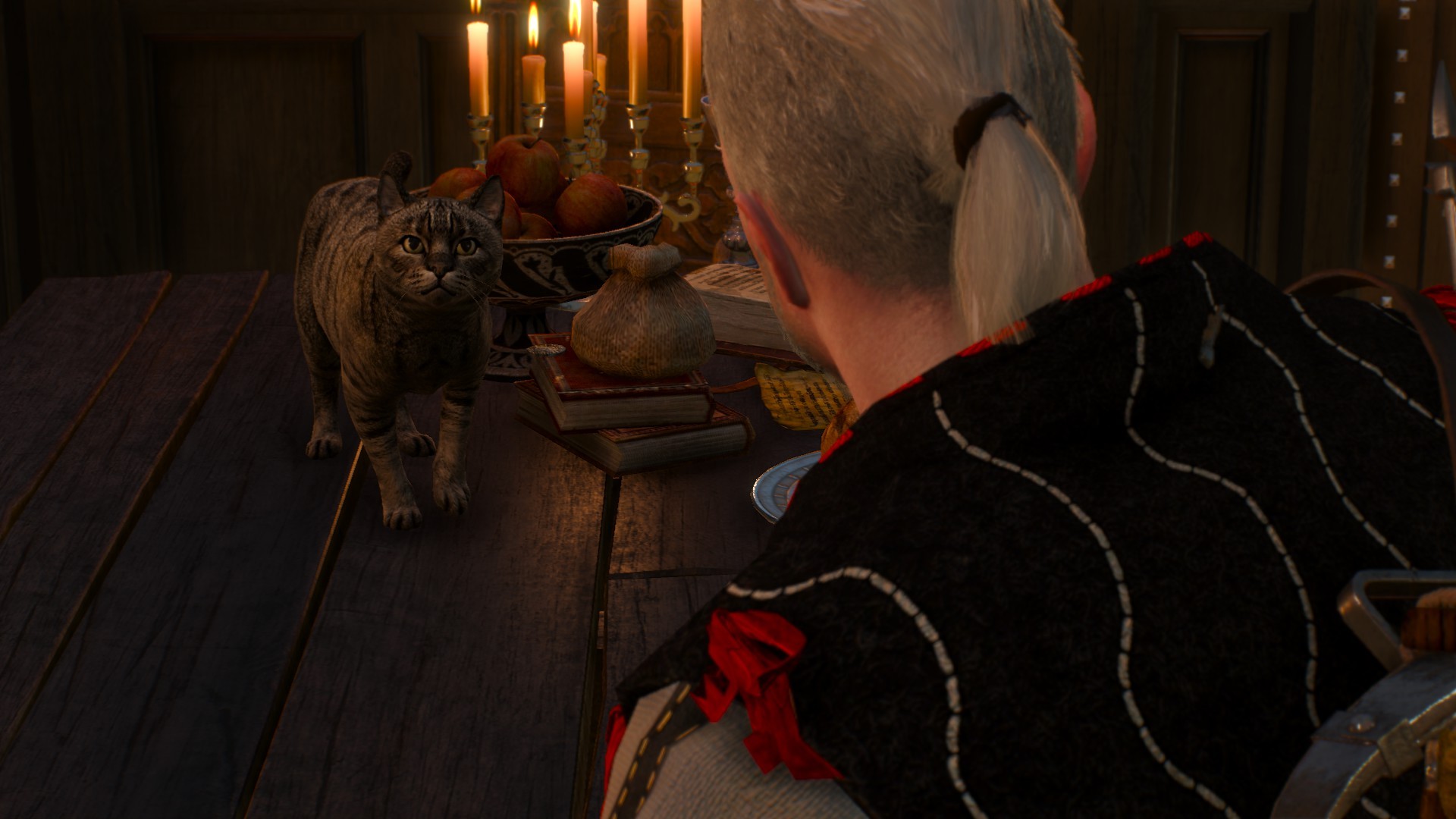 Cats Screen Shot The Witcher 3 Wild Hunt Hearts Of Stone 1920x1080