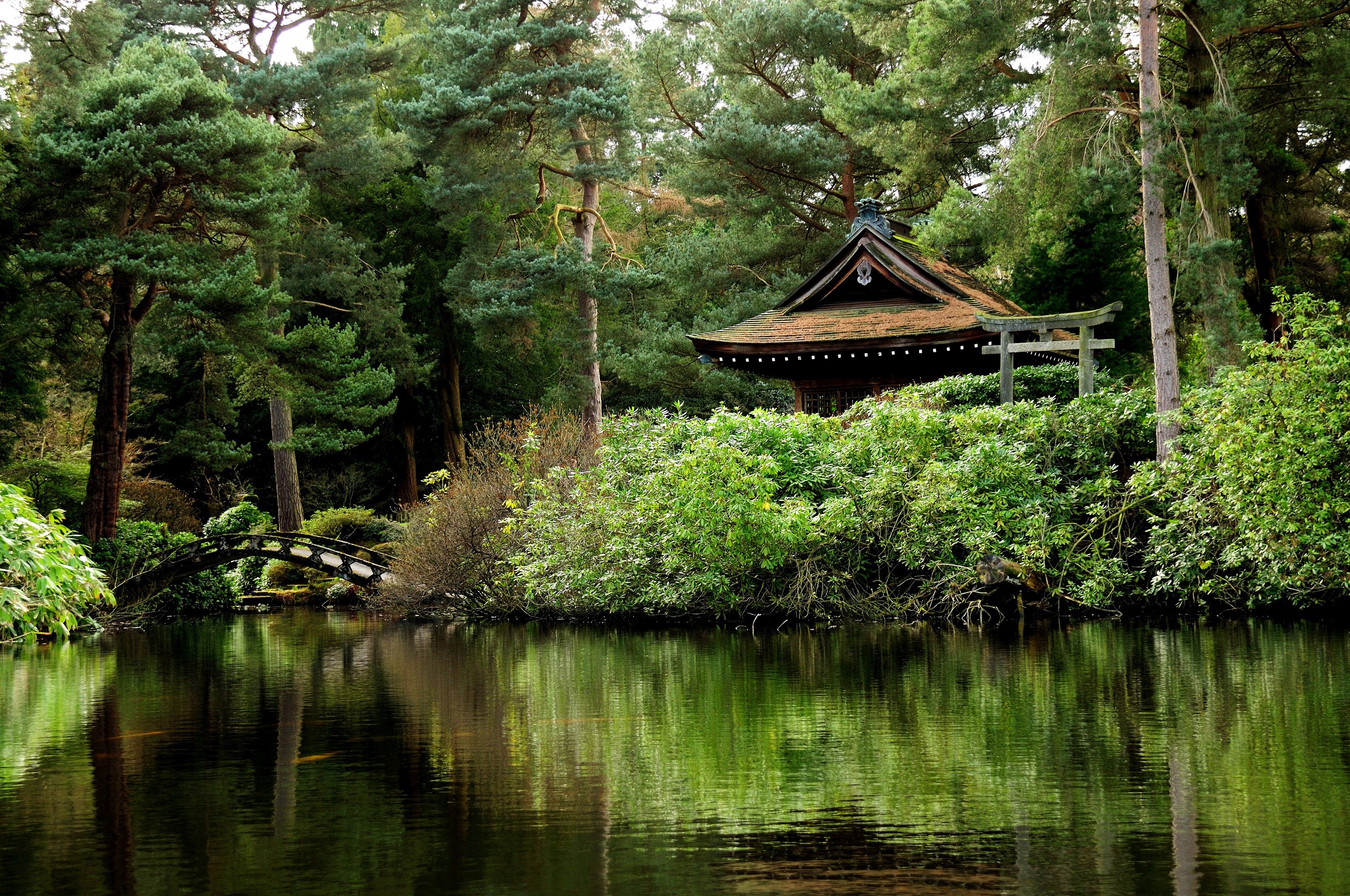 Japanese Garden Pond Bridge Pavilion Trees Garden 2635x1750