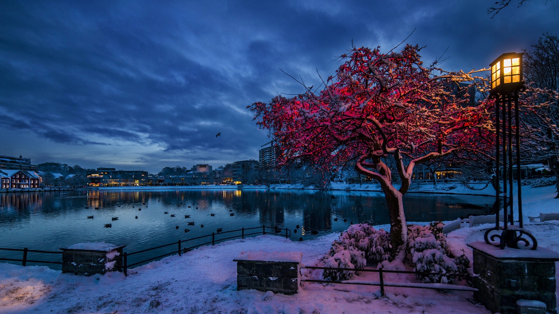 Nature Trees City Cityscape Norway Evening Winter Snow Lights Water Lake Clouds Branch House Reflect 1920x1080