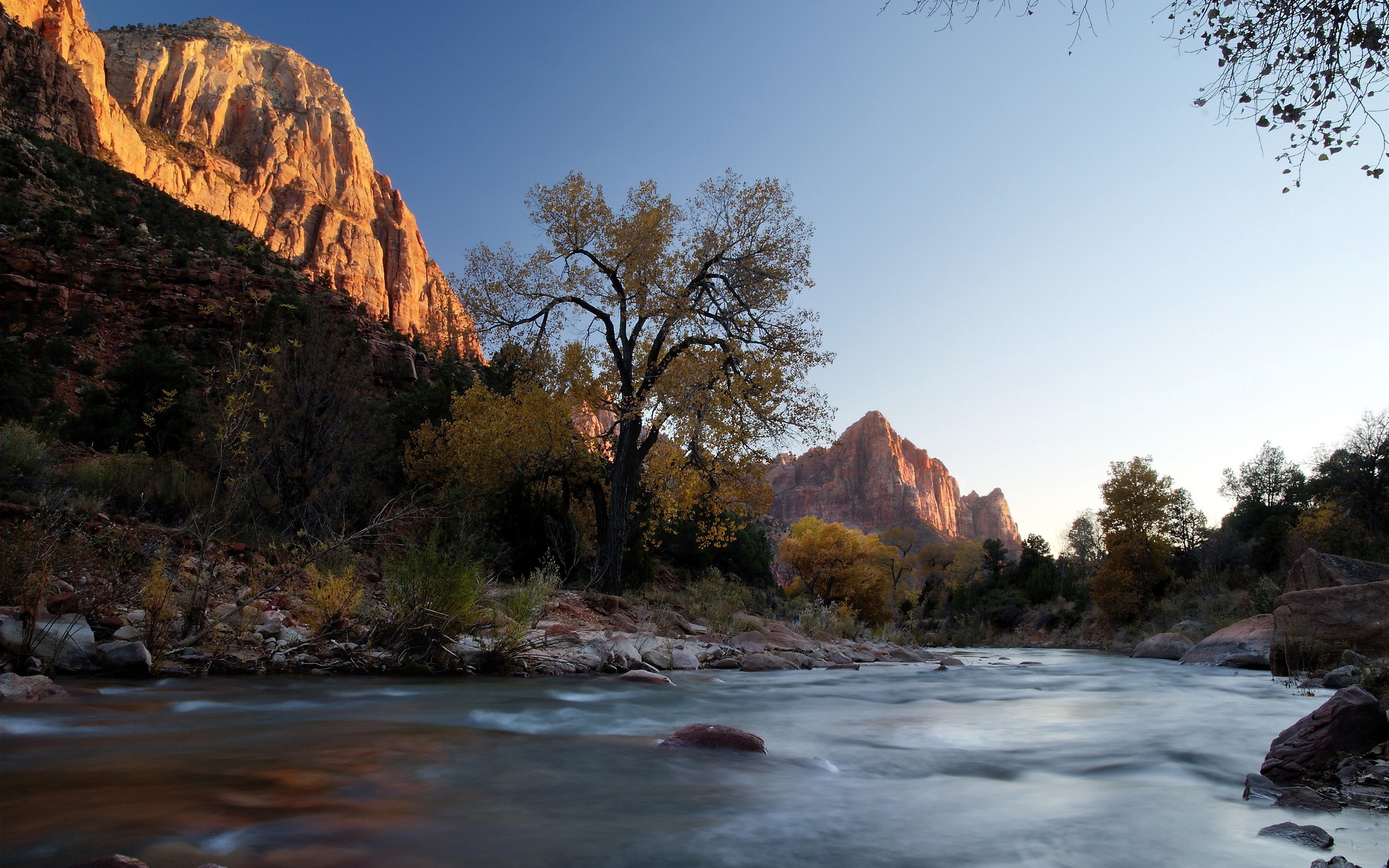 Landscape River Cliff Fall Zion National Park 2560x1600