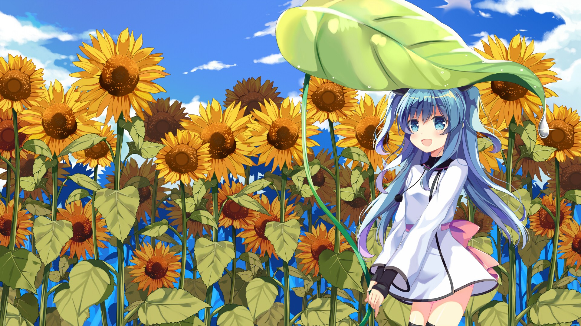 Anime Anime Girls Sora No Method Noel Sora No Method Dress Long Hair Blue Hair Blue Eyes Sunflowers 1920x1080