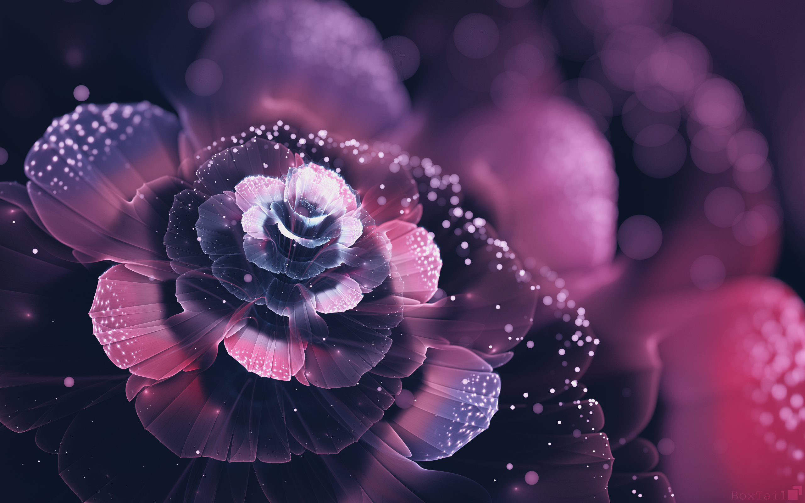 Fractal Fractal Flowers Abstract Petals Bokeh Digital Art 2560x1600