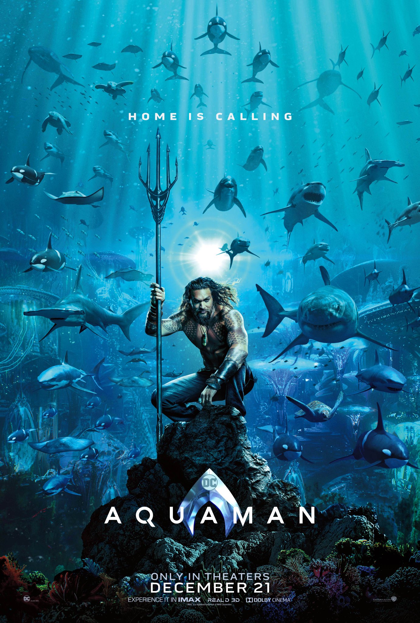 Aquaman DC Comics Justice League Warner Brothers DC Universe Shark Movie Poster Blue 1382x2048