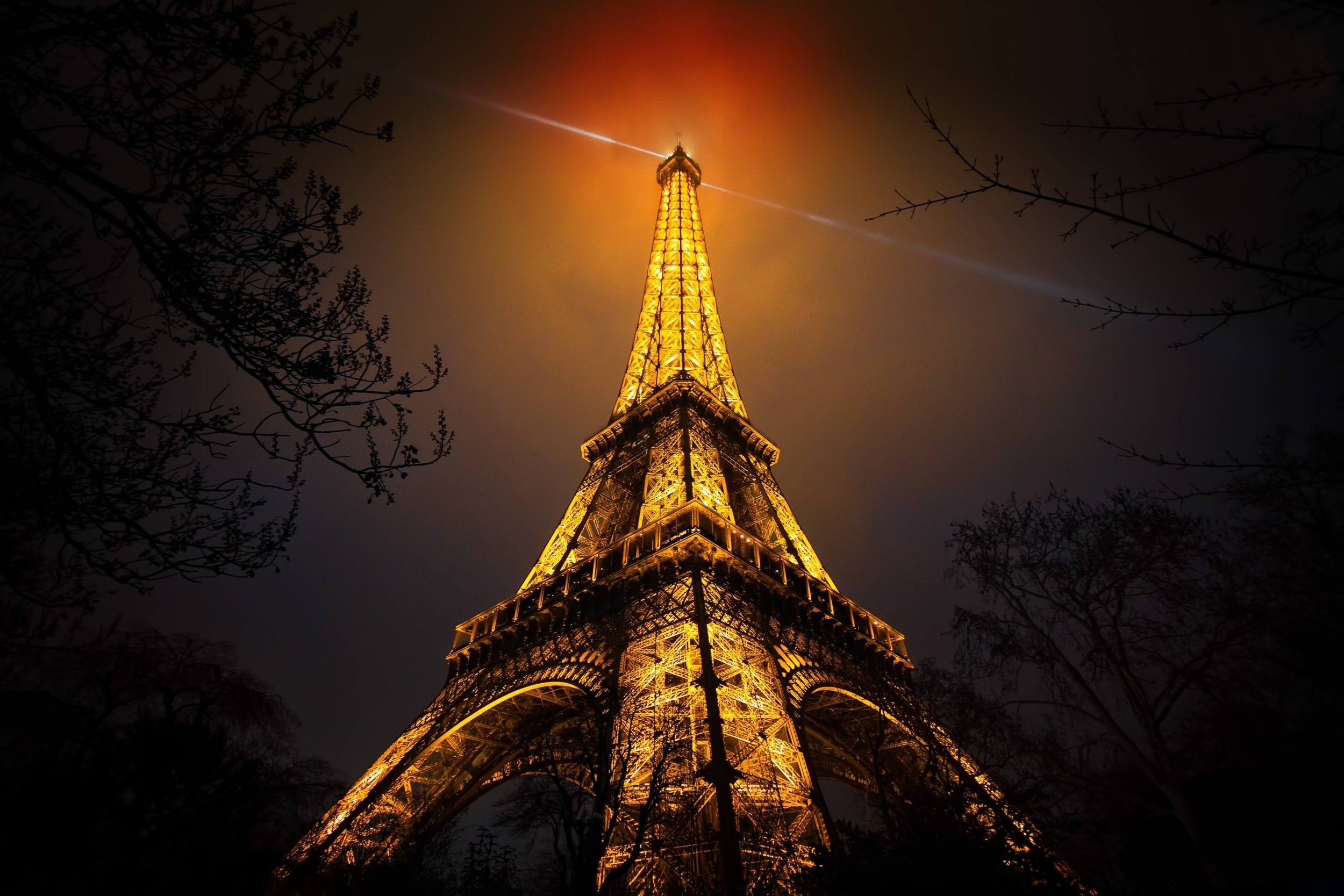 Night Eiffel Tower Paris France Branch Artificial Lights Red Gold Black Monuments Urban 2500x1667