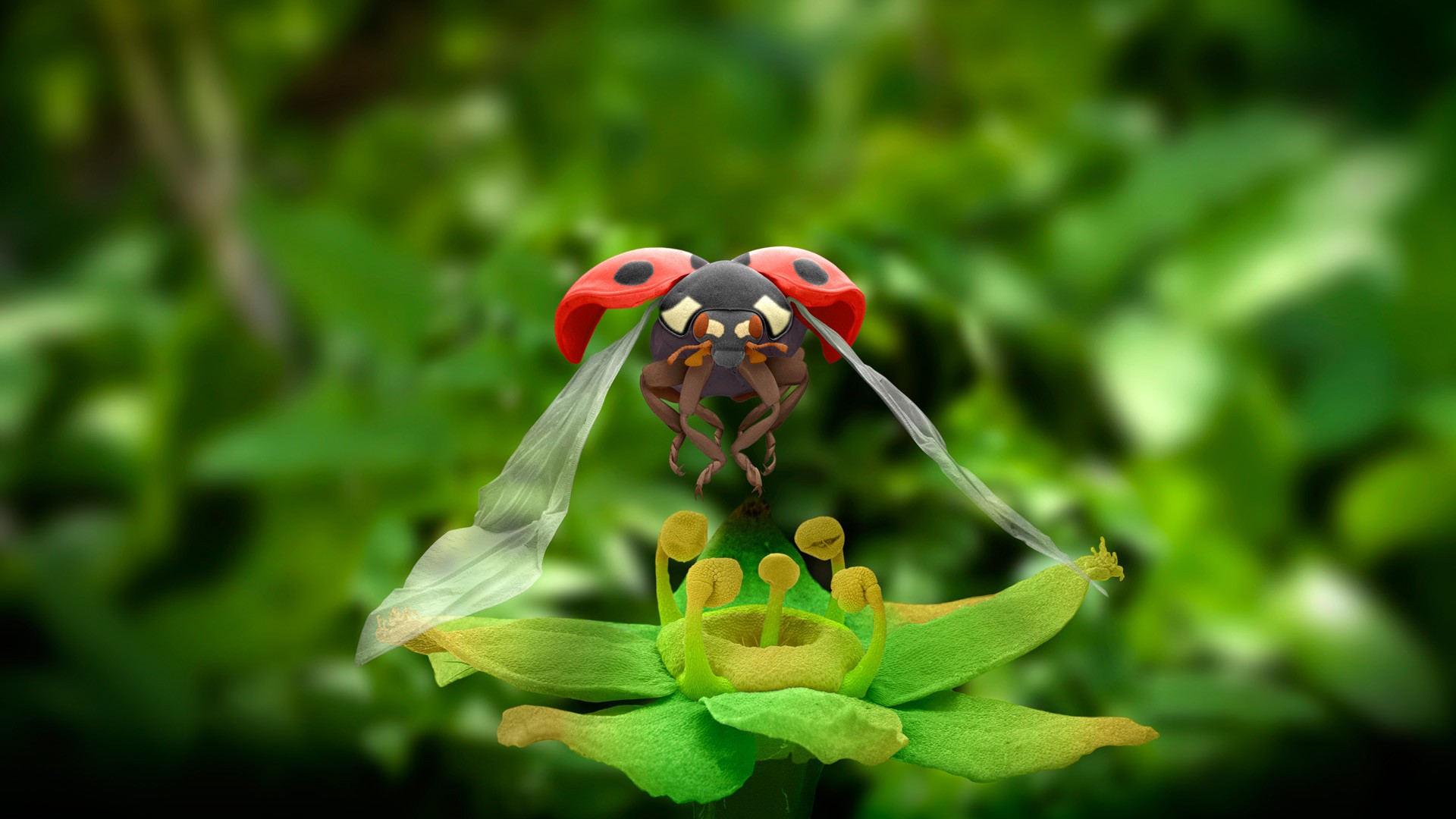 Nature Animals Macro Ladybugs Closeup Flying Wings Insect Leaves Depth Of Field Plants 1920x1080