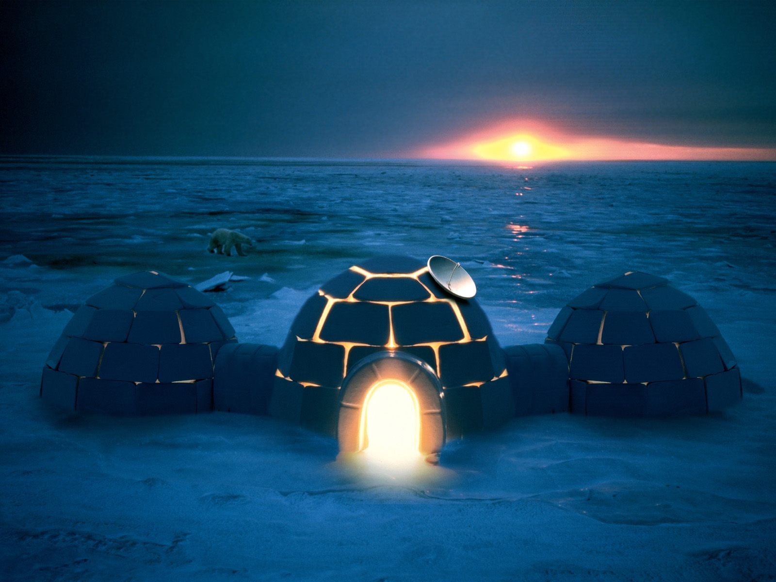 Polar Bears Ice Sunset Igloo Satellite Glowing 1600x1200