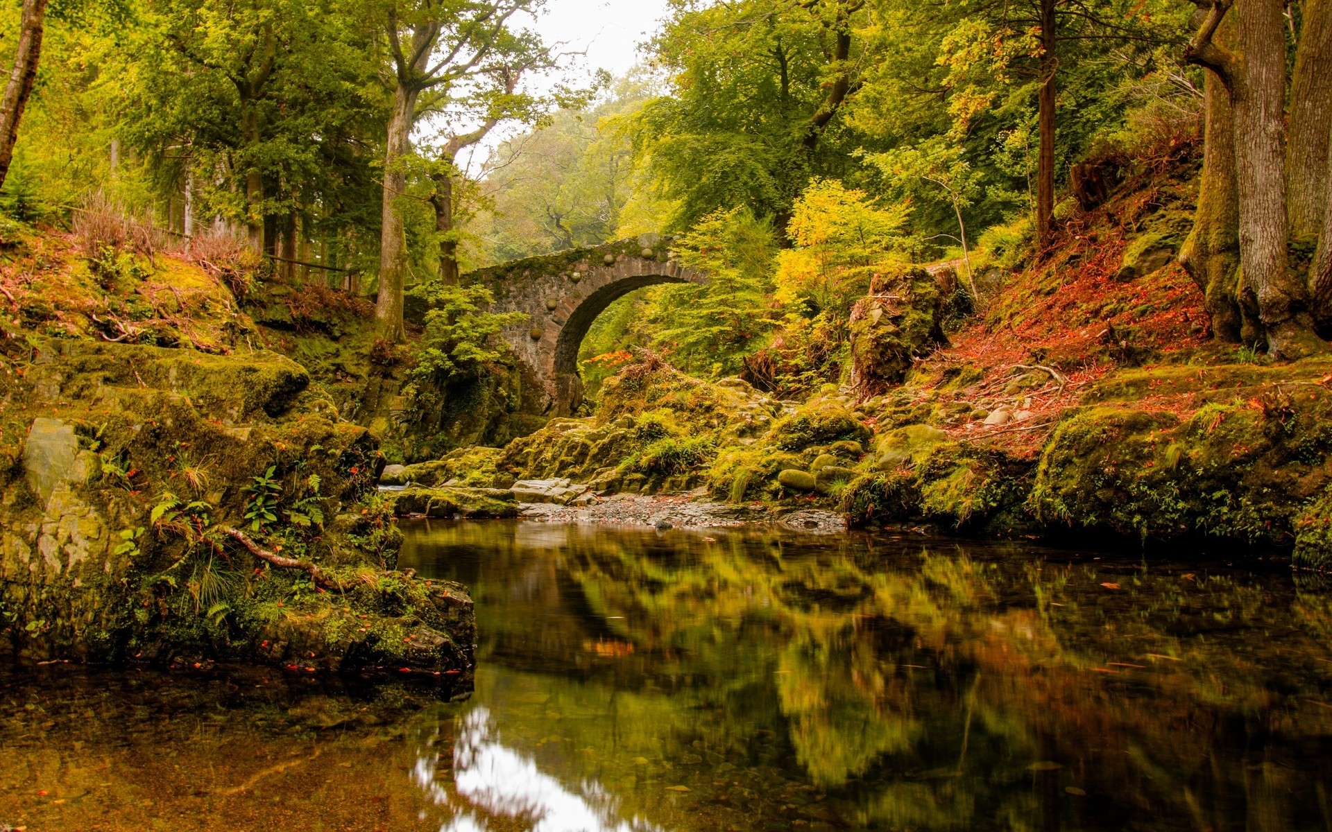 Nature Landscape River Moss Old Bridge Arch Bridge Forest 1920x1200