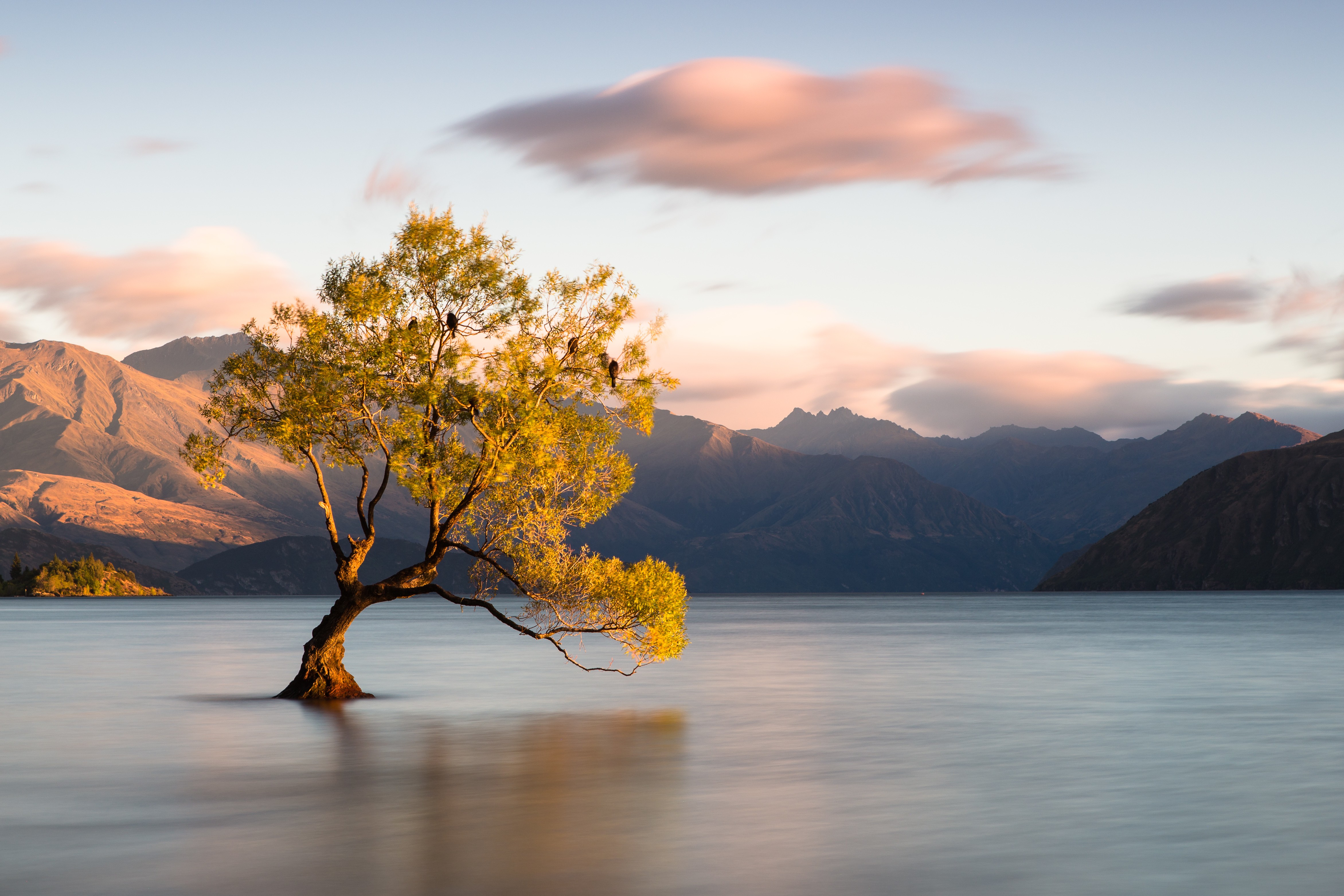 Landscape Lake Wanaka Trees Nature Sky Water 4688x3125