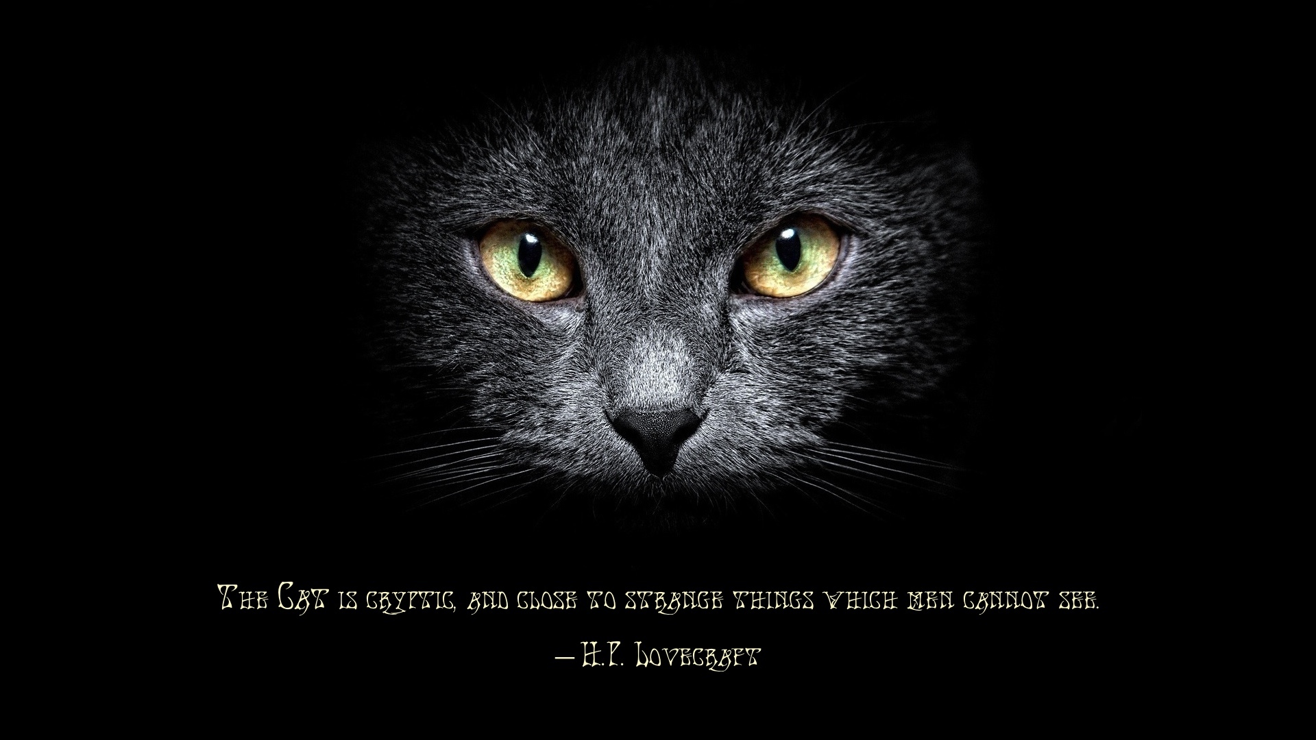 H P Lovecraft Quote Cat 1920x1080