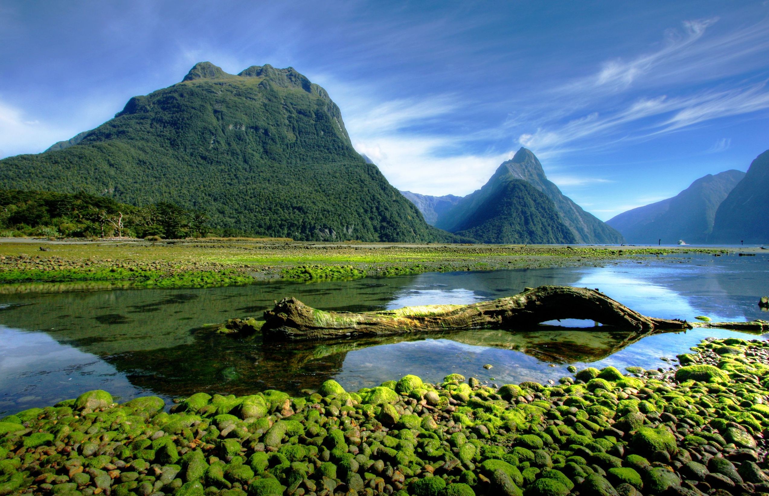 Landscape Photography Nature Mountains Moss Milford Sound Fjord National Park New Zealand 2547x1646