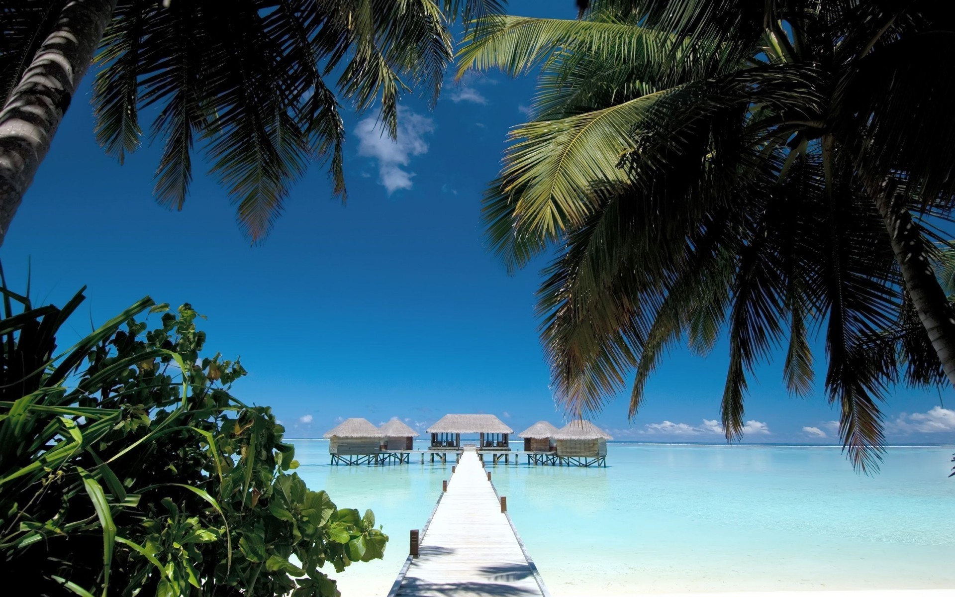 Nature Landscape Beach Walkway Palm Trees Sea Water Cabin Tropical Summer Blue Sky Maldives 1920x1200