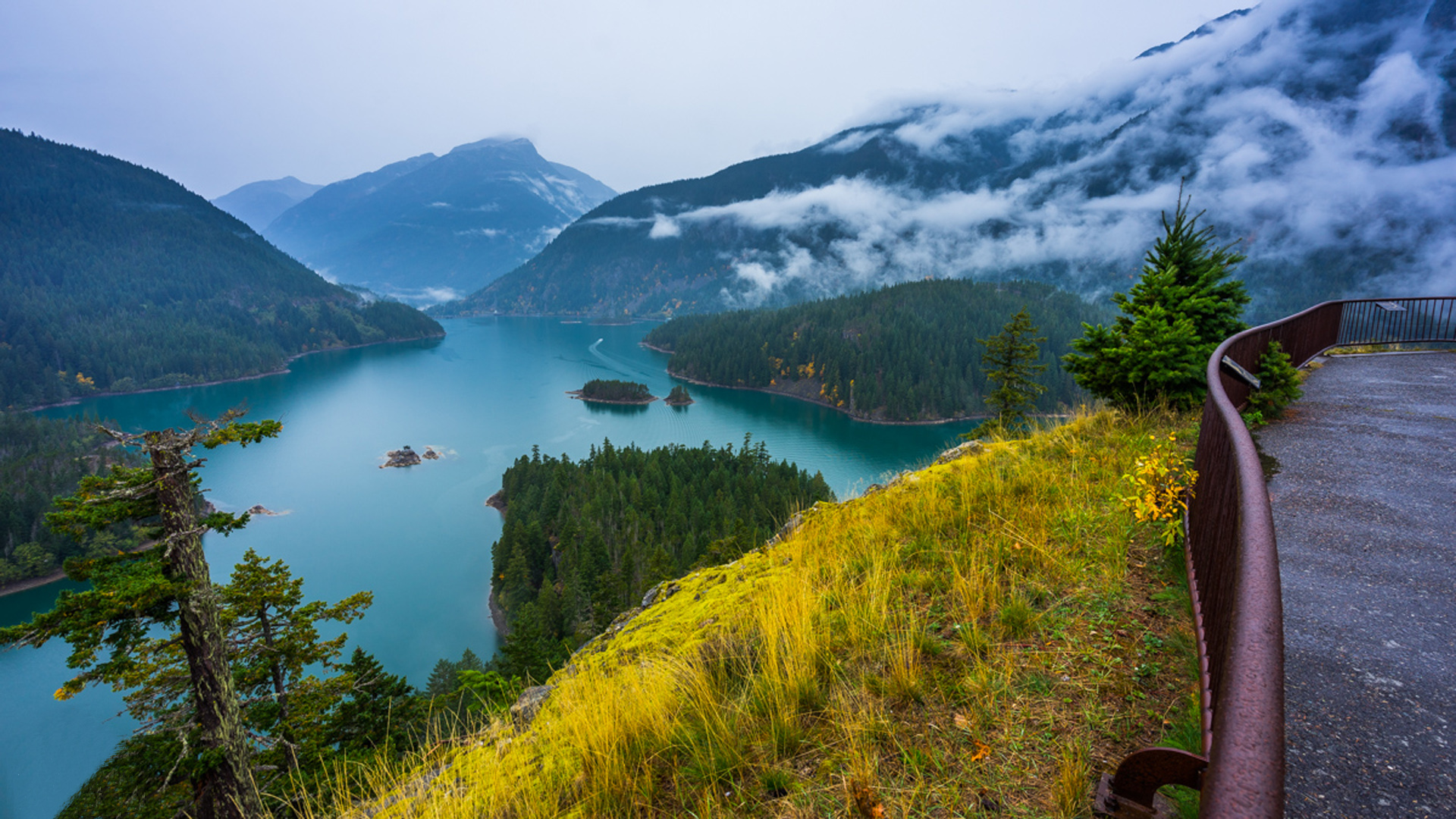 Earth Lake Forest Diablo Lake 1920x1080