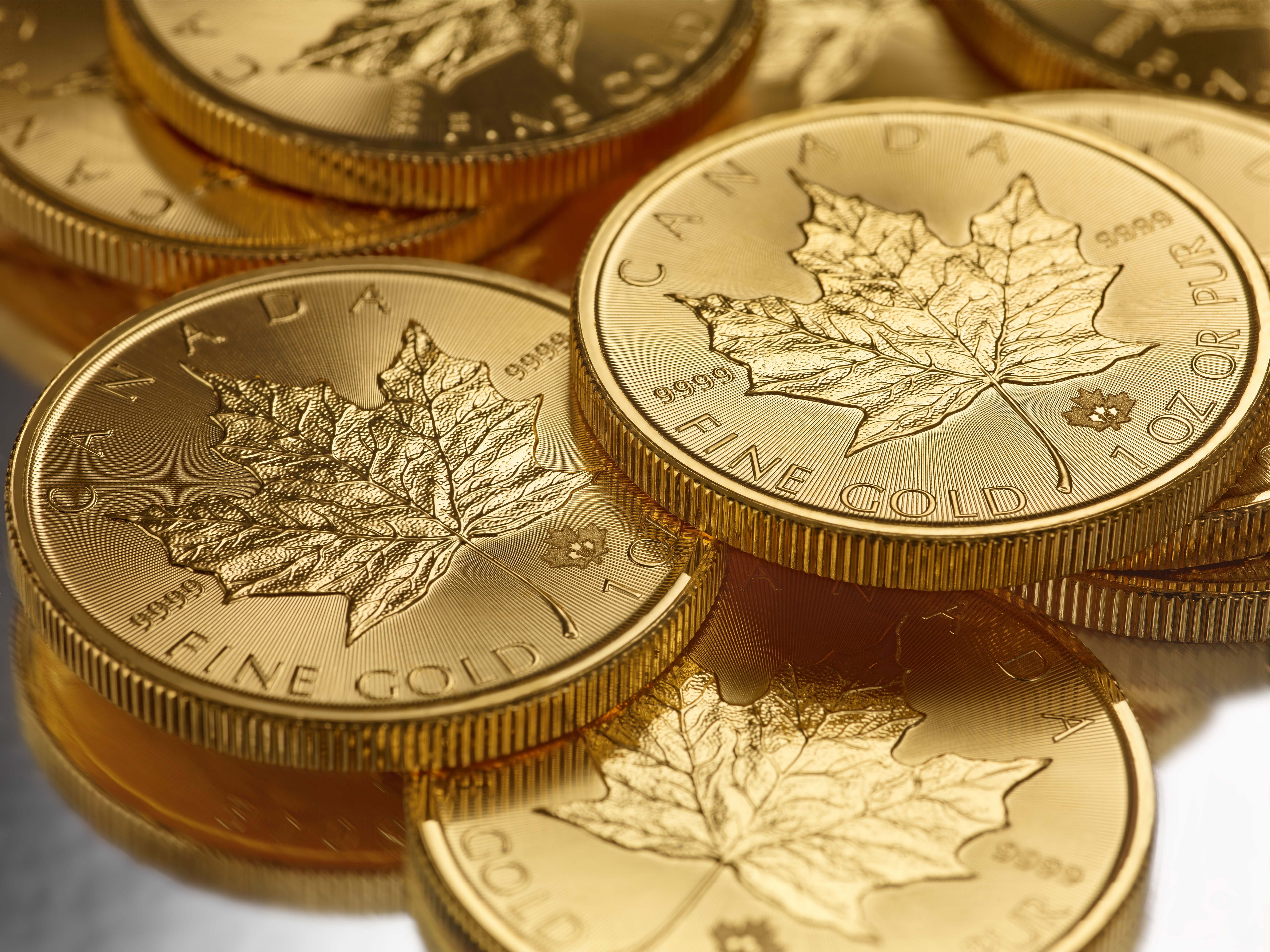 Canada Macro Gold Money Coins Metal Maple Leaf 6670x5000