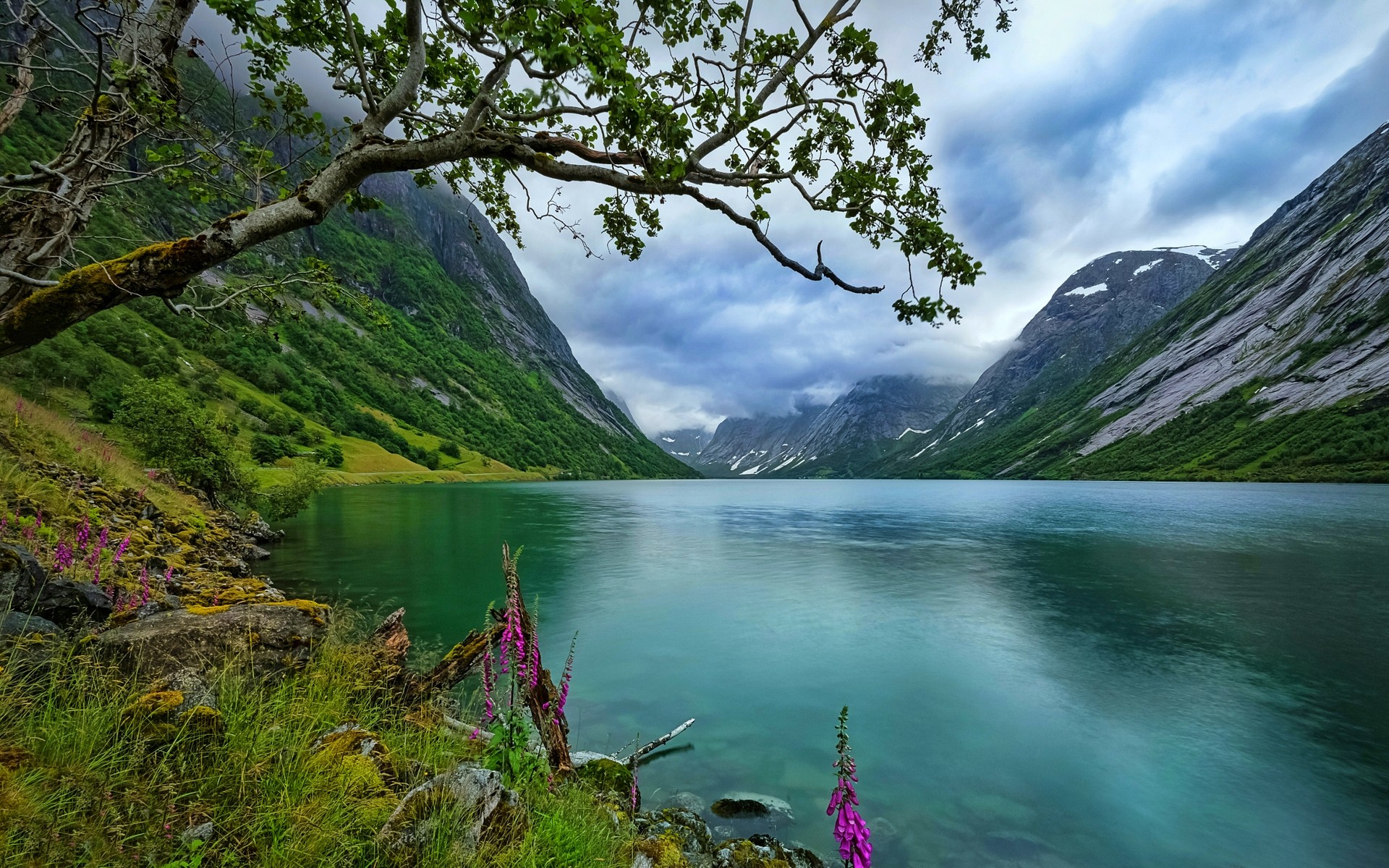 Nature Landscape Lake Wildflowers Trees Mountains Norway Grass Clouds Summer Water 1920x1200
