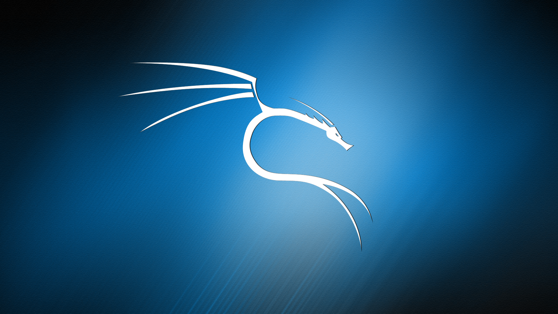 Kali Linux Linux Texture Dragon Abstract Blue Background 1920x1080